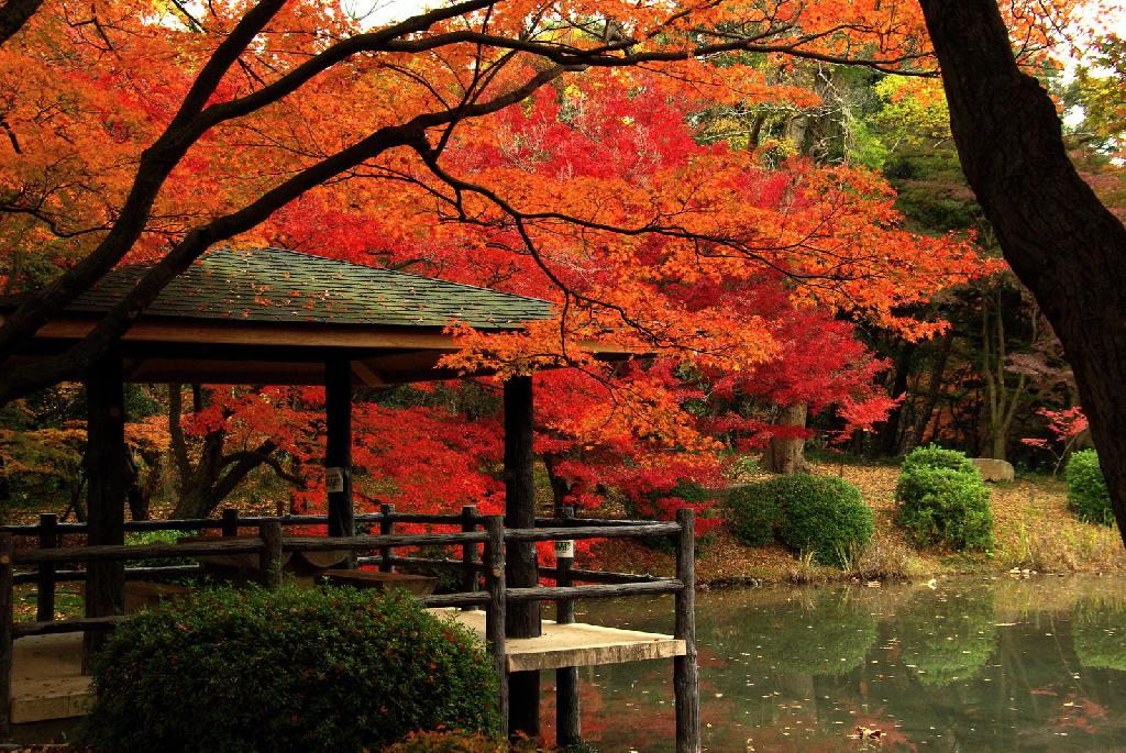 京都府立植物園