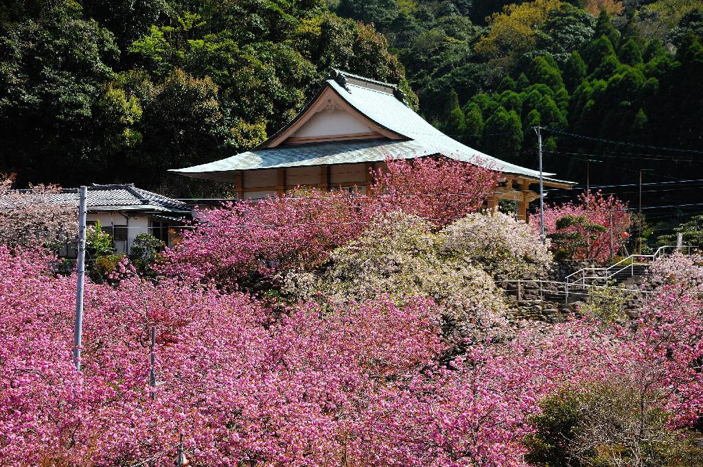 一心寺