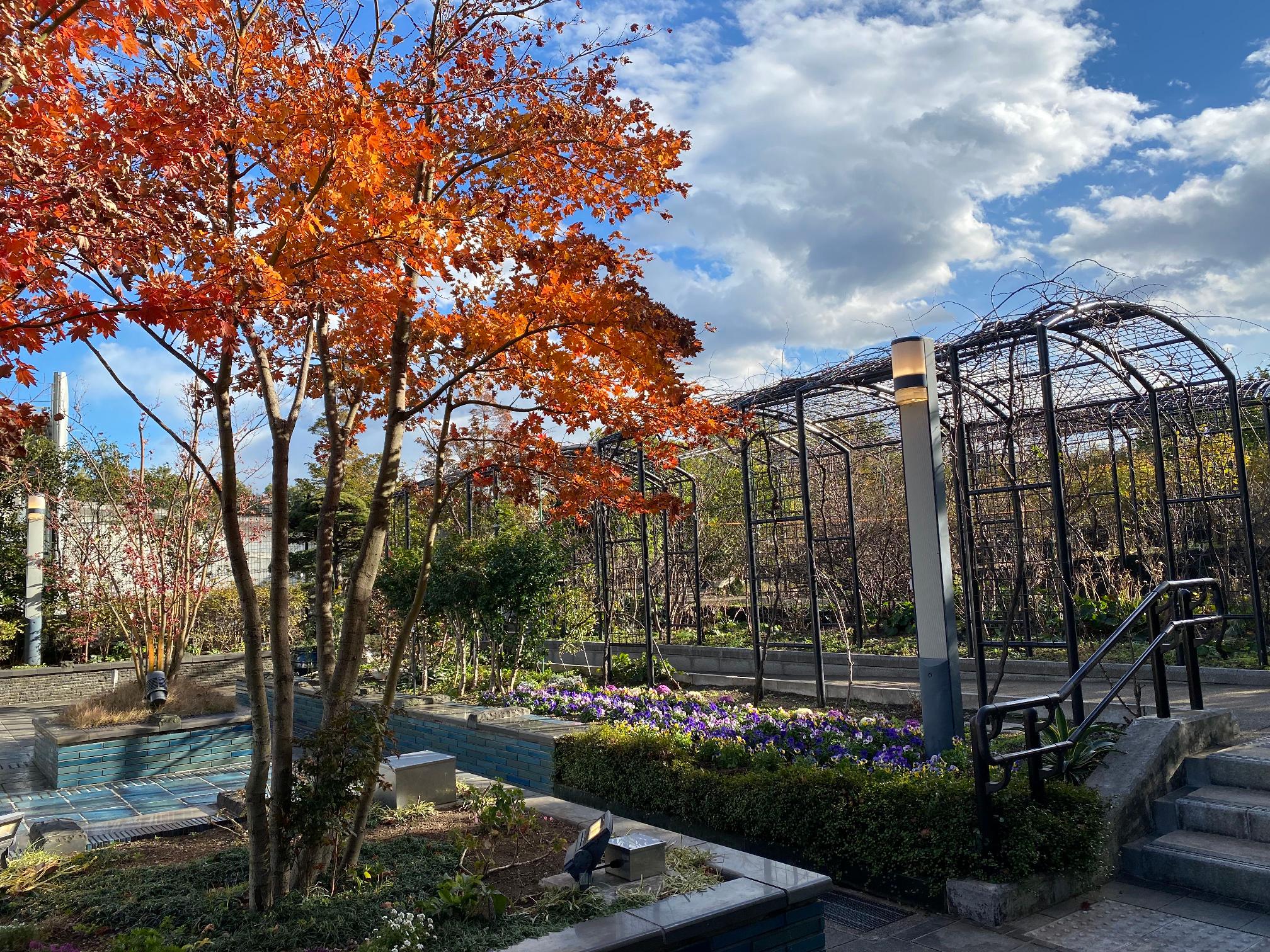 菅刈公園