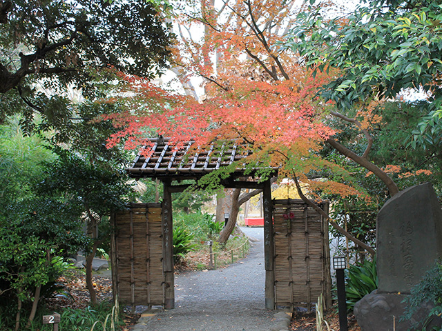 向島百花園