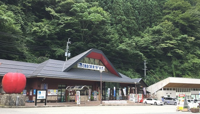 道の駅はが