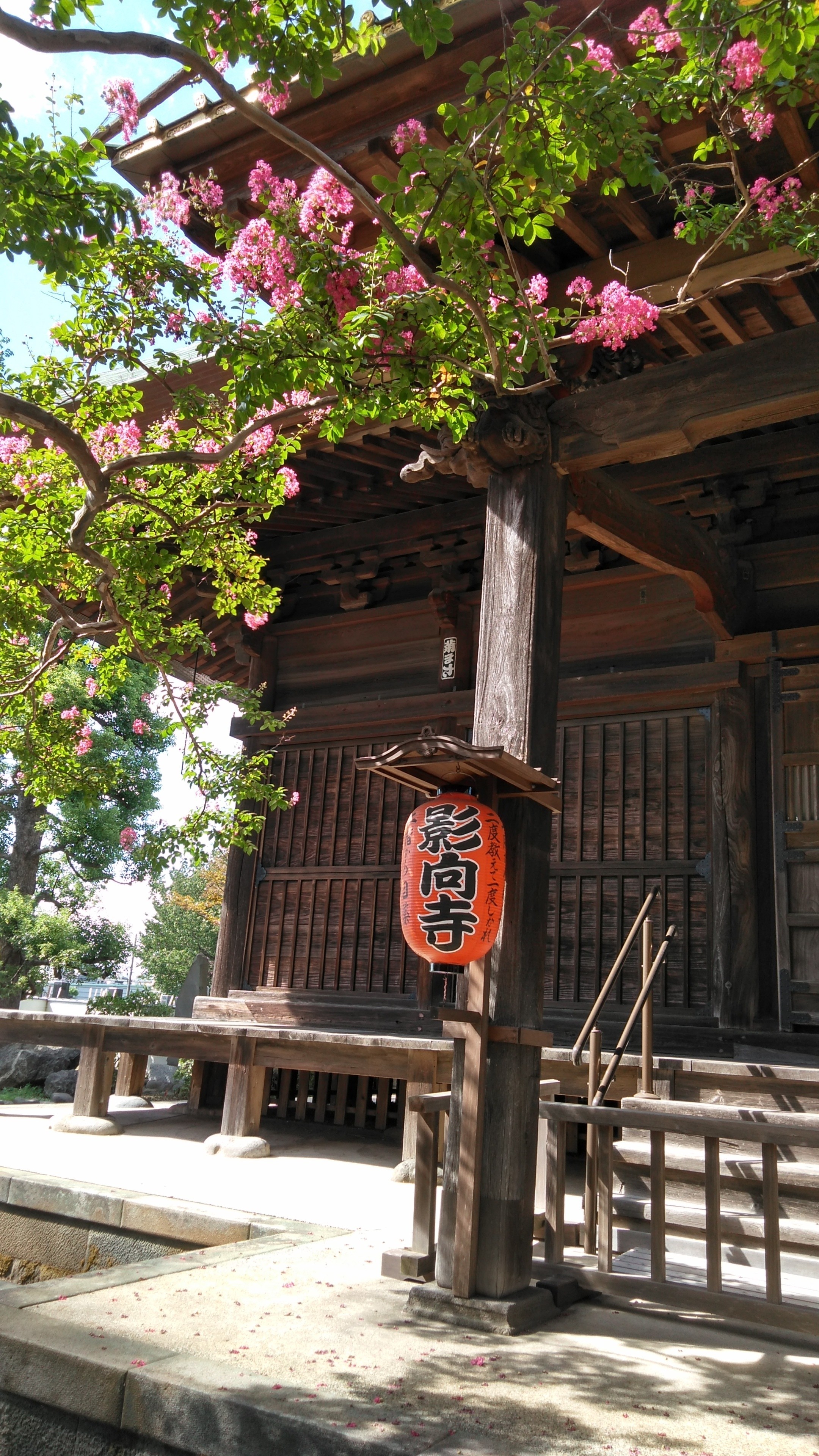 影向寺