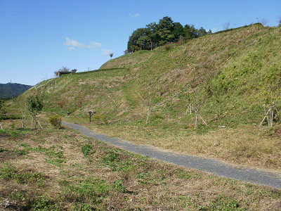 皆川城