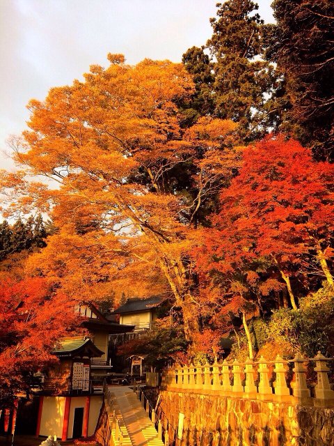 雲辺寺