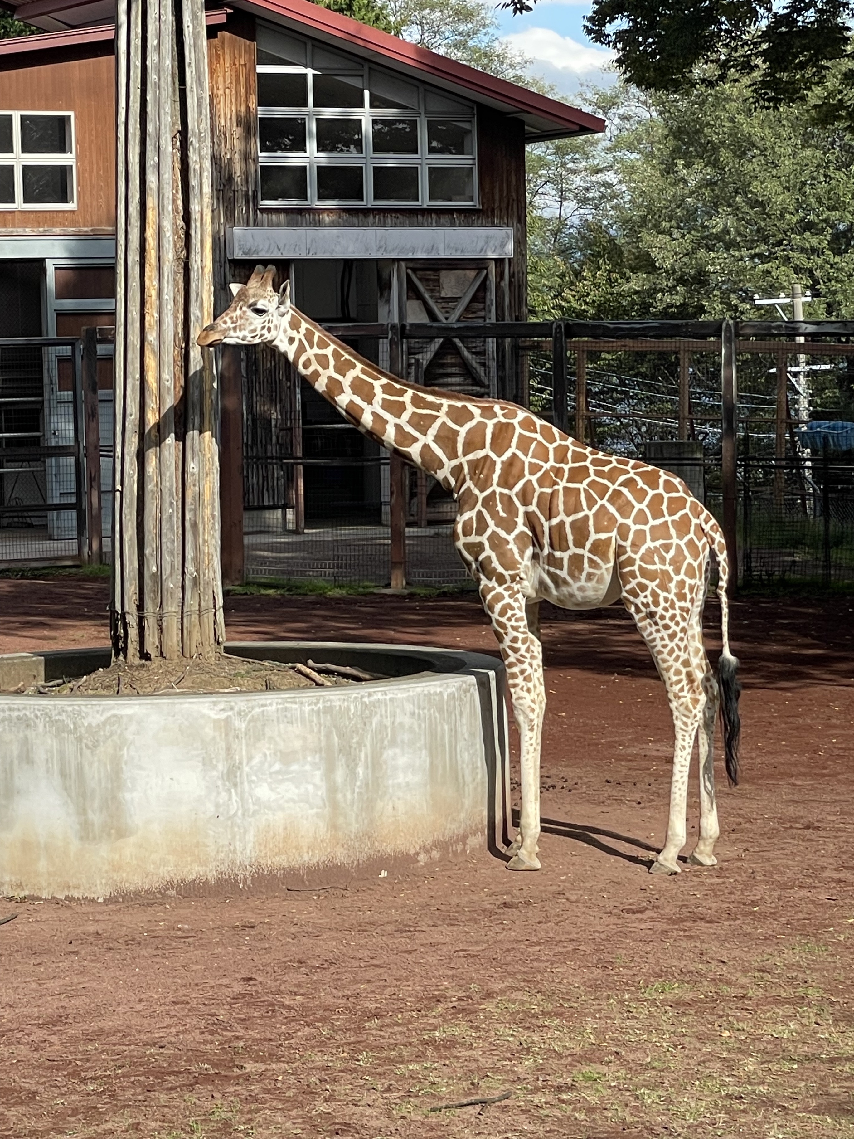 長野市茶臼山動物園