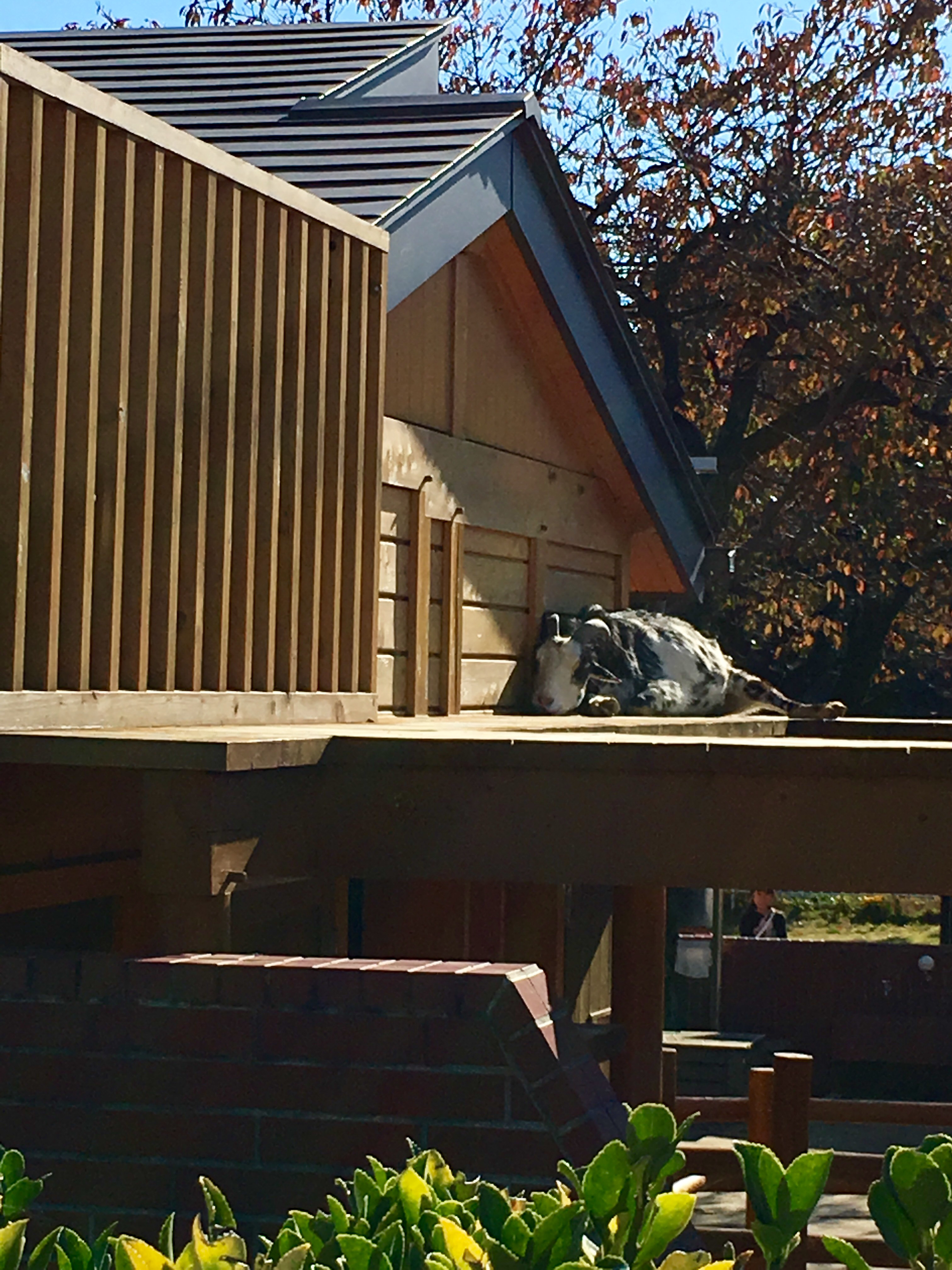 飯田市立動物園