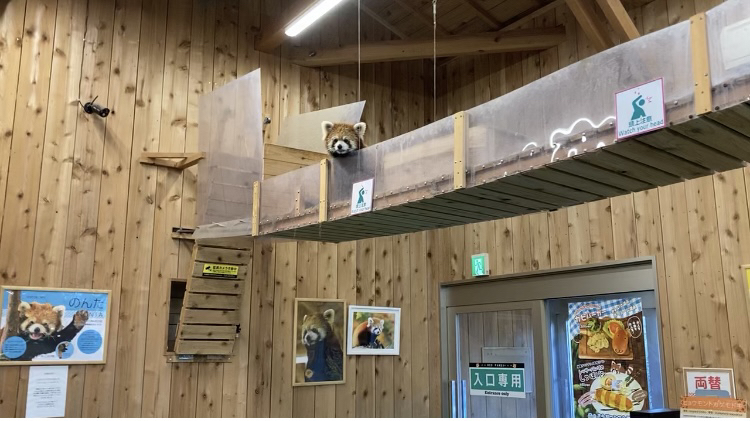 伊豆シャボテン動物公園