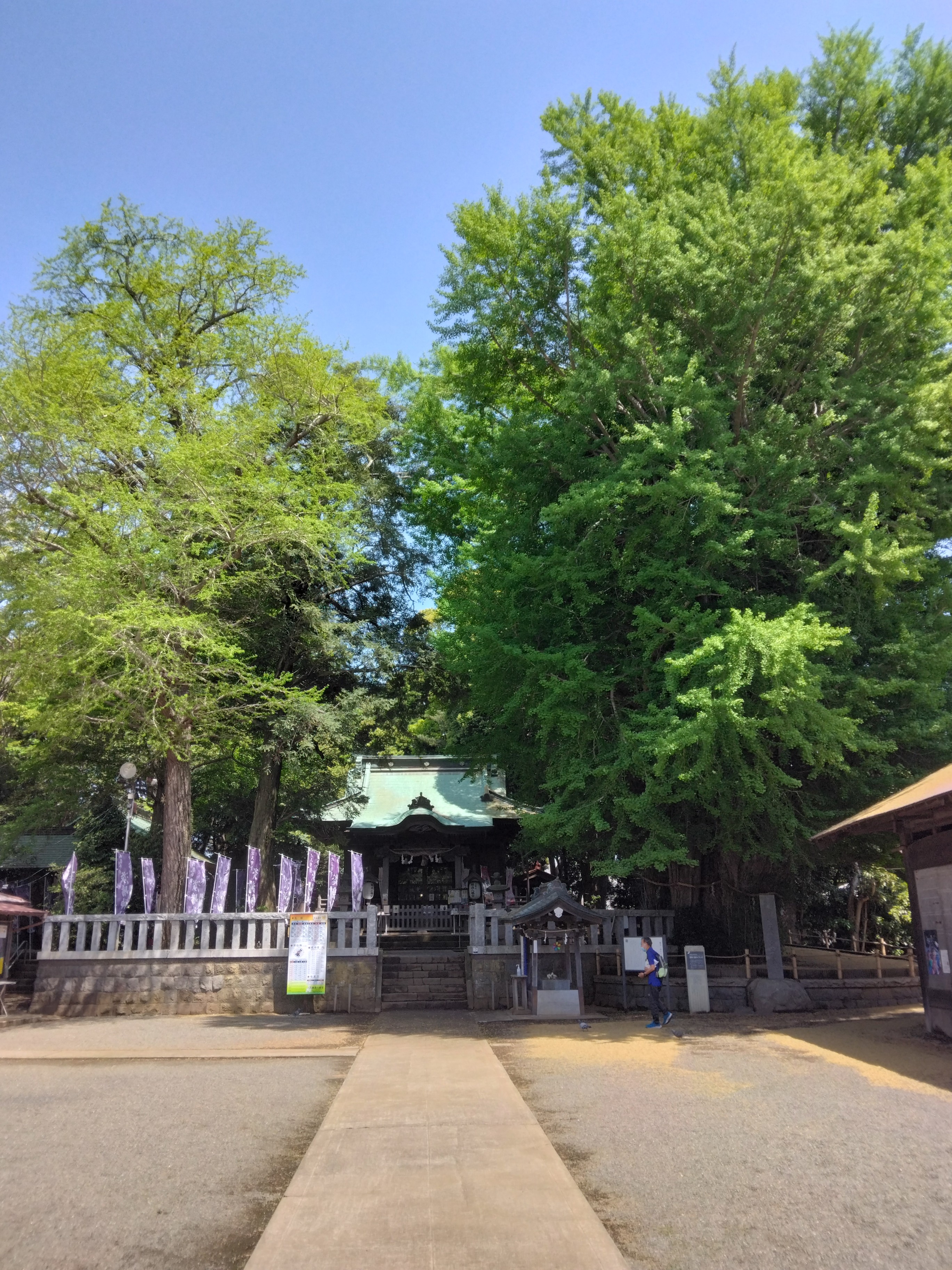 鶴嶺八幡宮