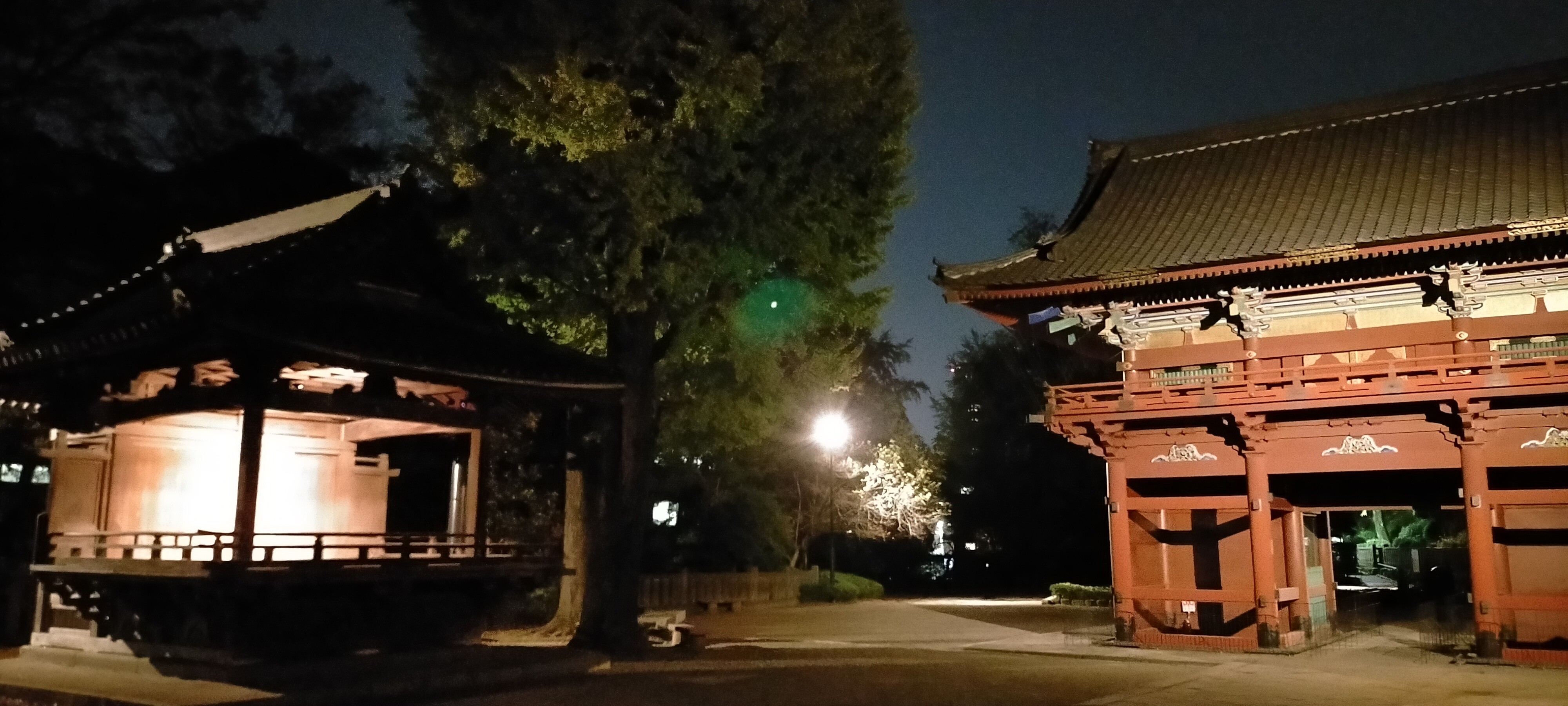 駒場東大前駅