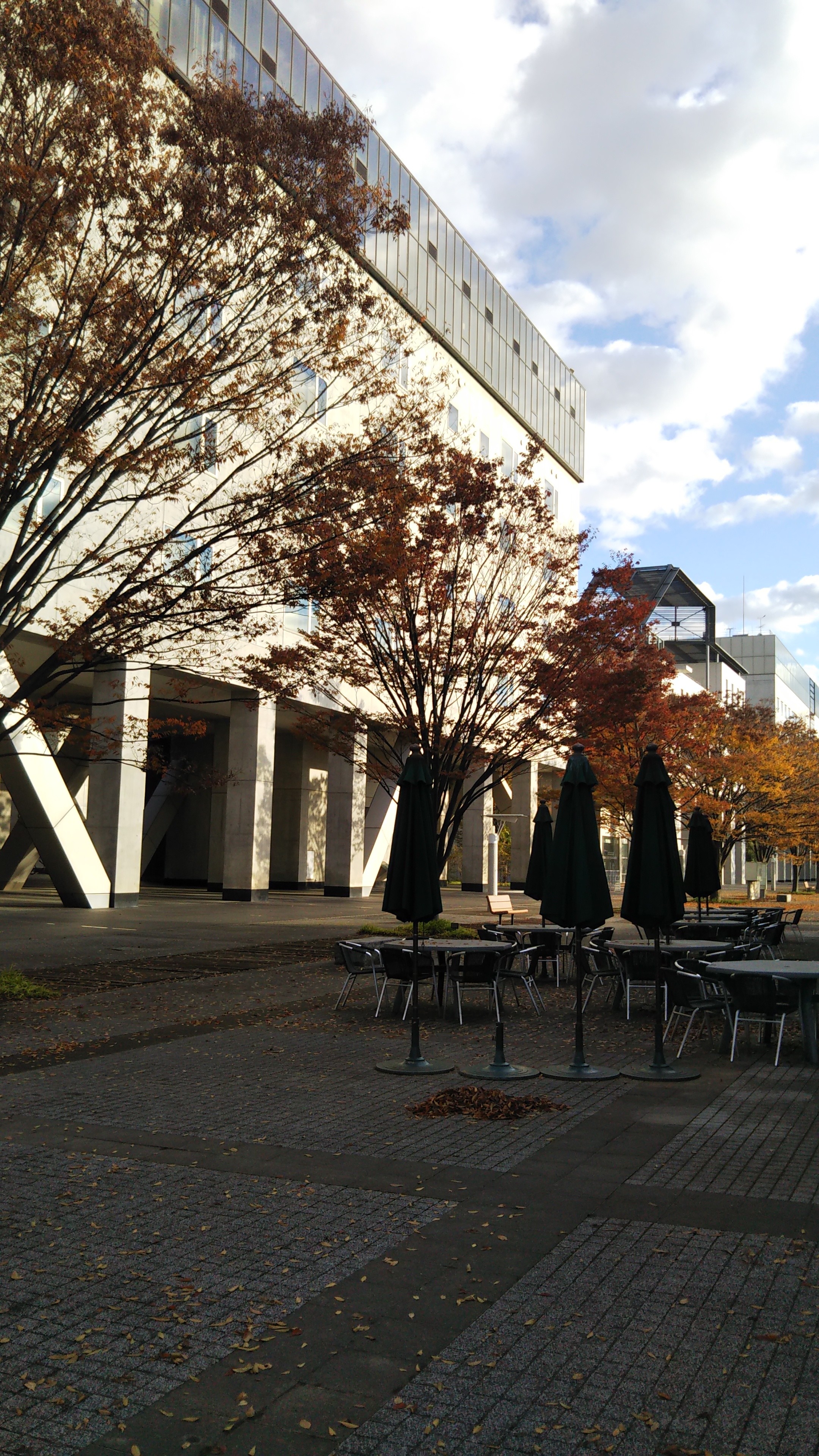 東京大学