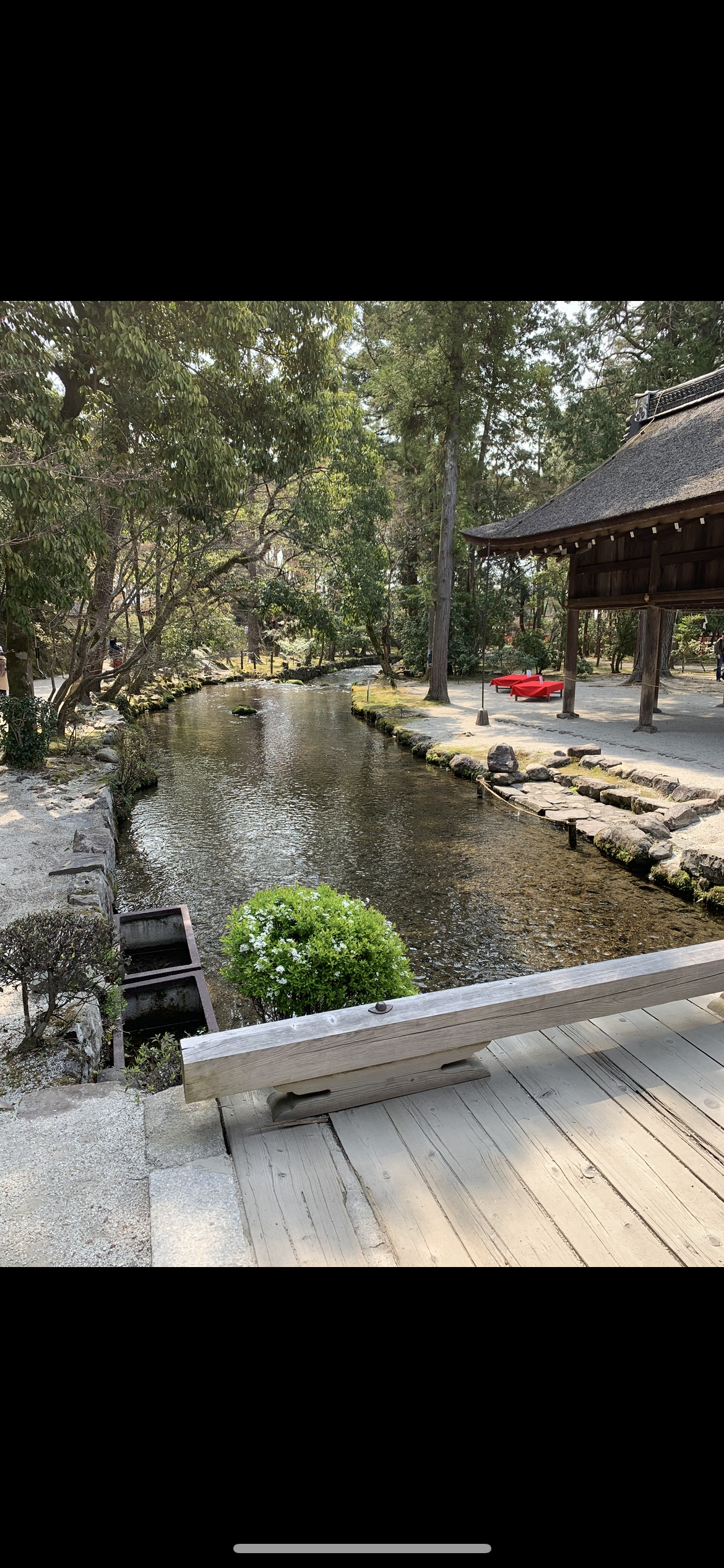 賀茂別雷神社