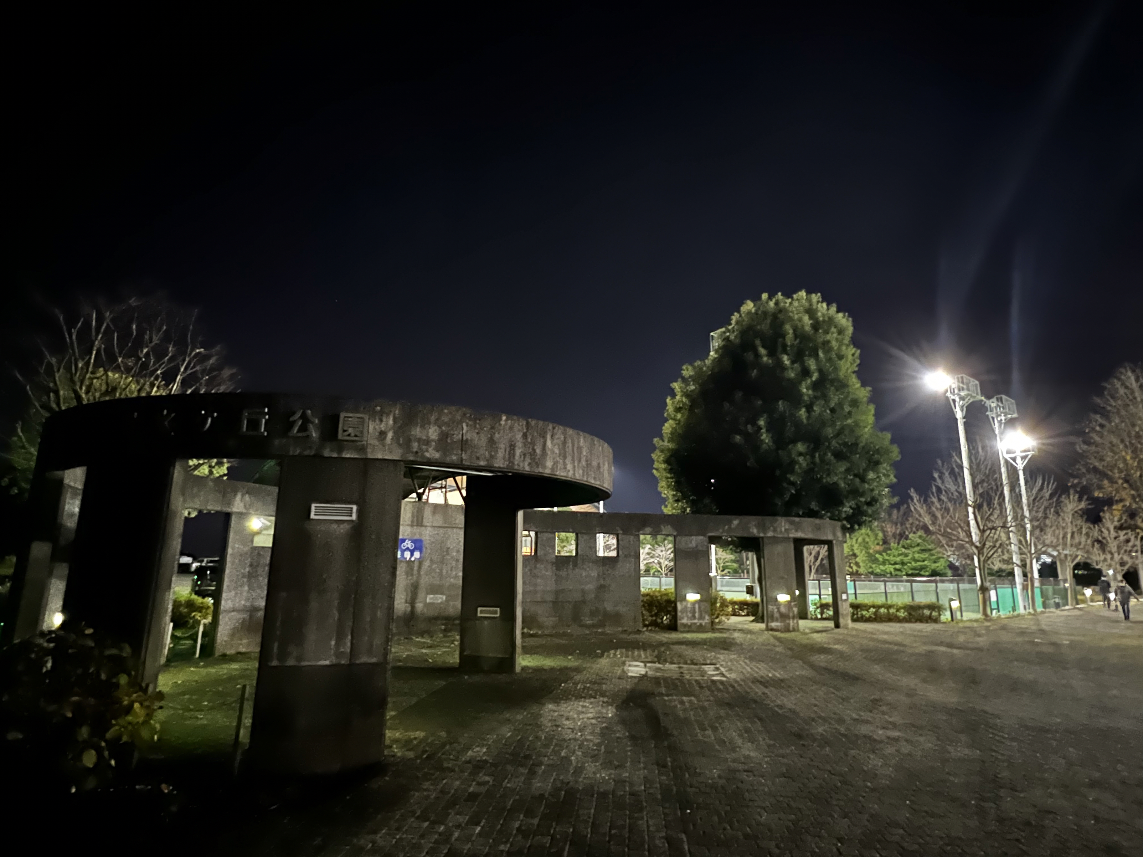 清水ケ丘公園