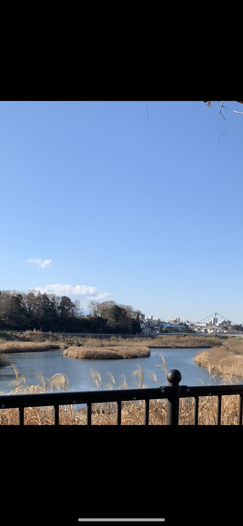 境川遊水地公園