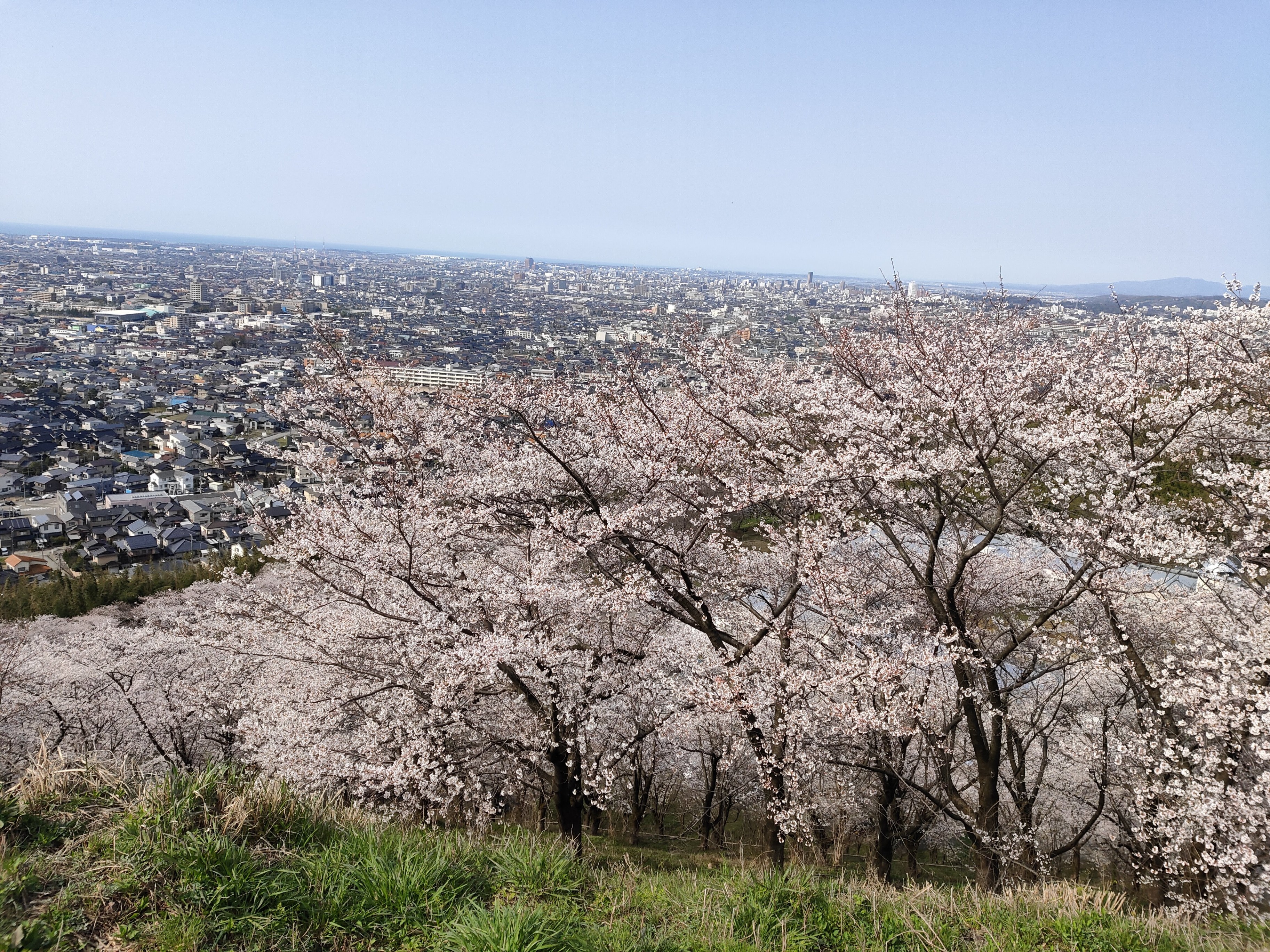 石川県教員総合研修センター