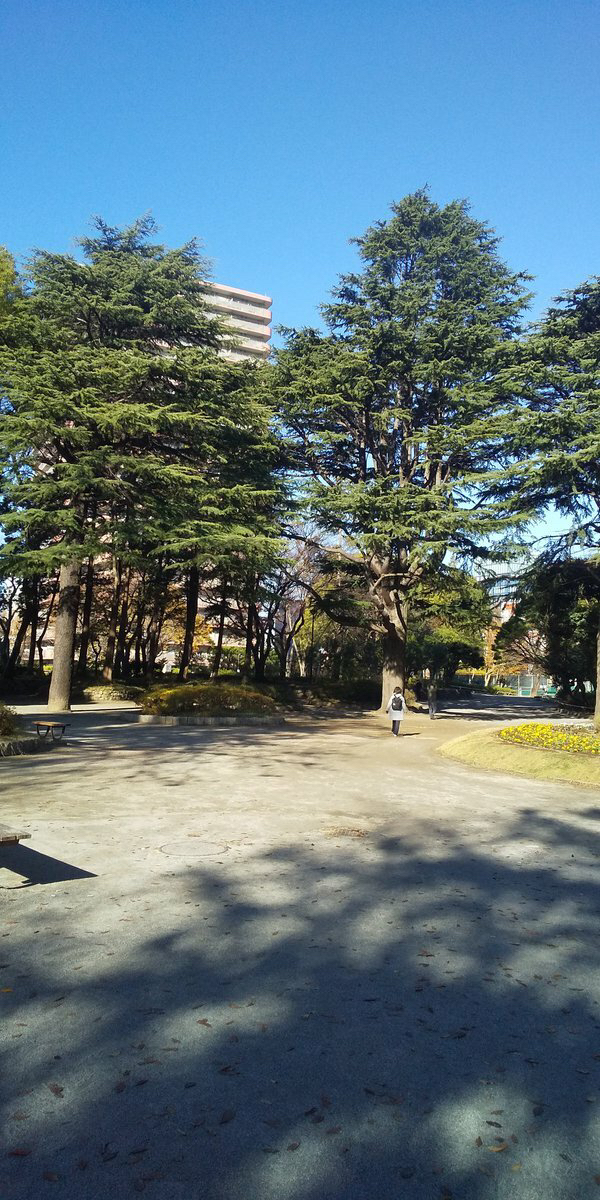 松戸中央公園