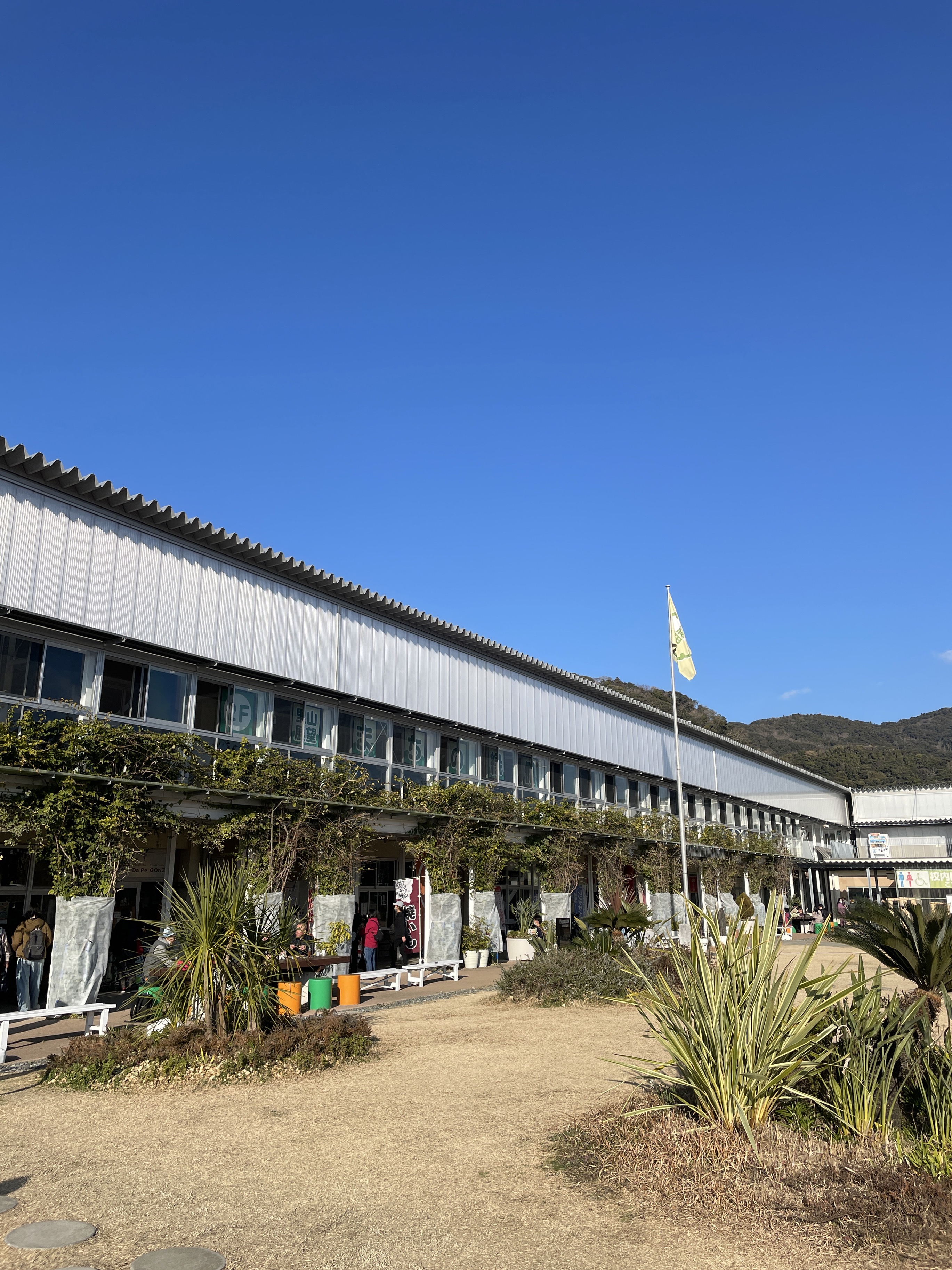 道の駅保田小学校