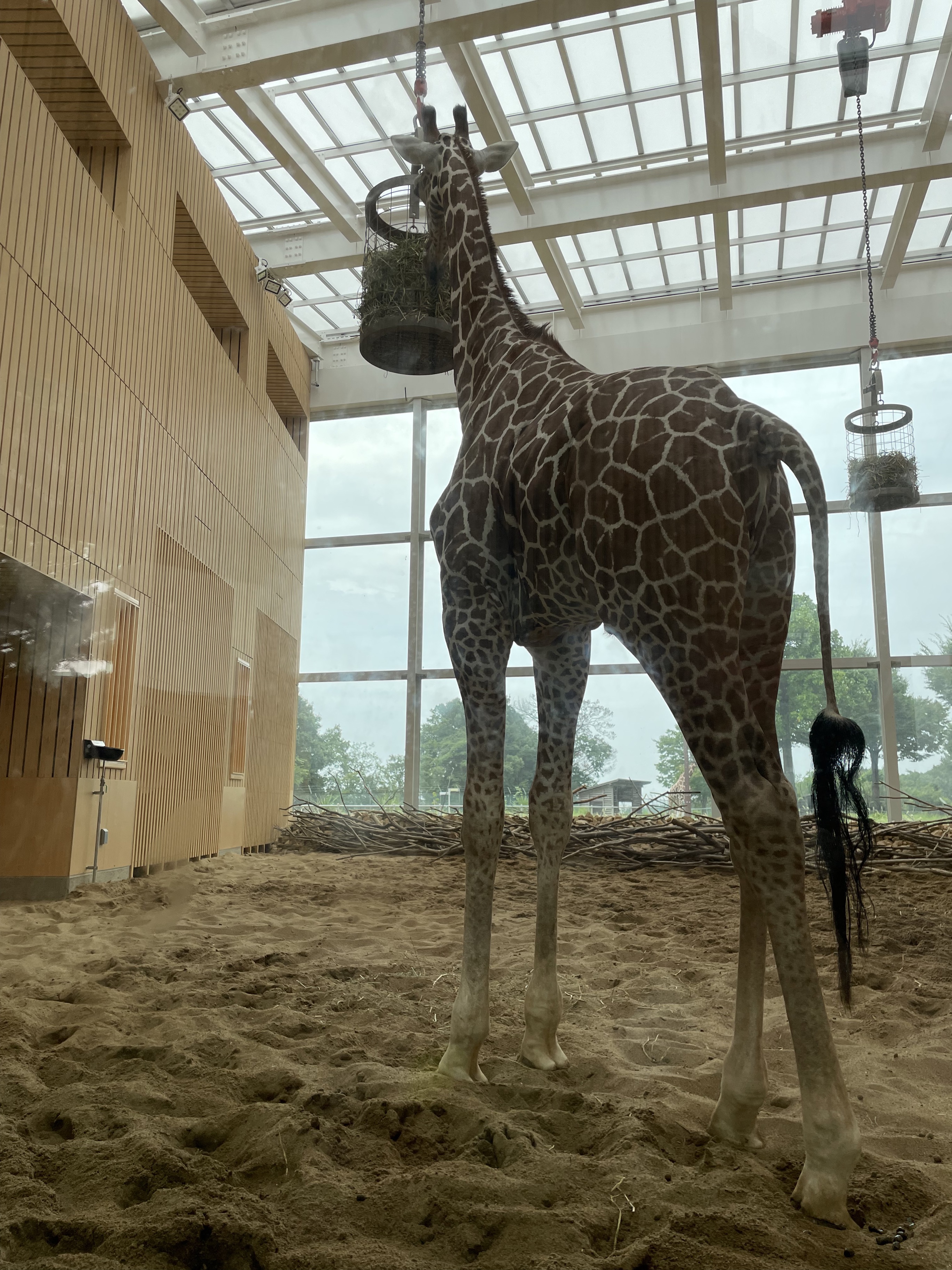 埼玉県こども動物自然公園