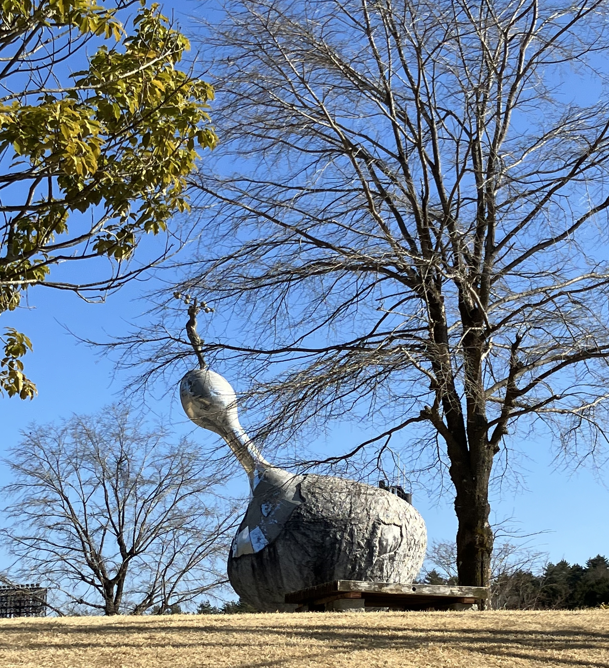 山梨県富士北麓公園