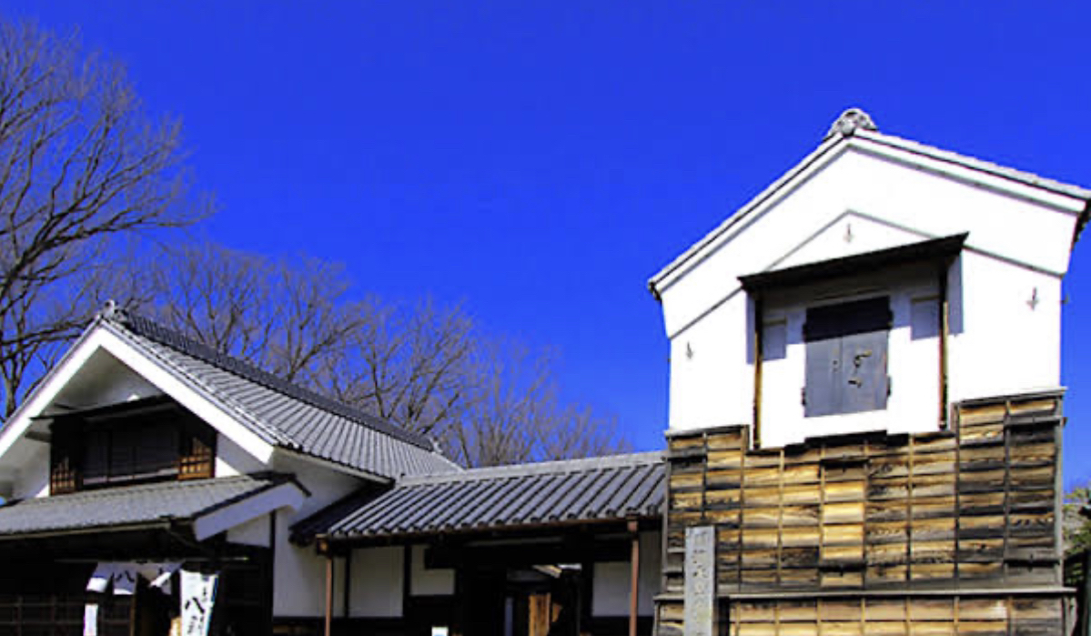 府中の森公園