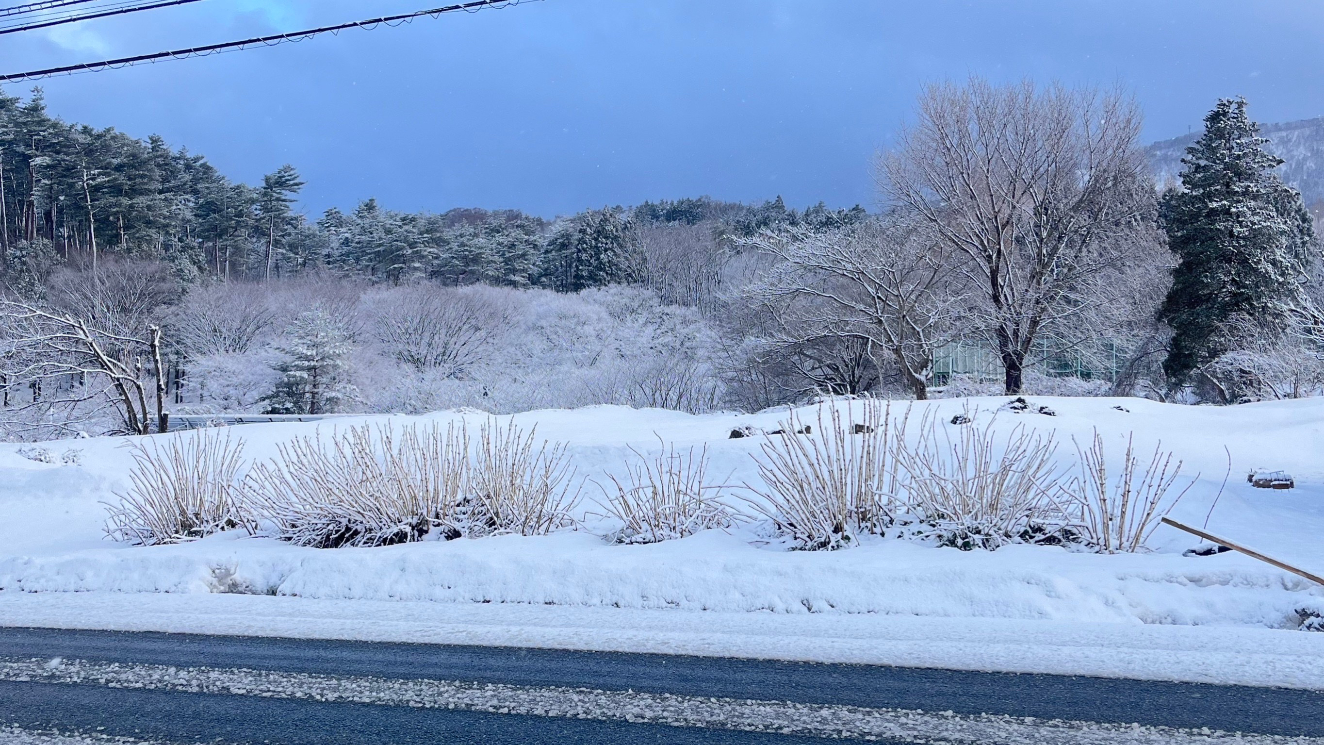 兵庫県立但馬ドーム