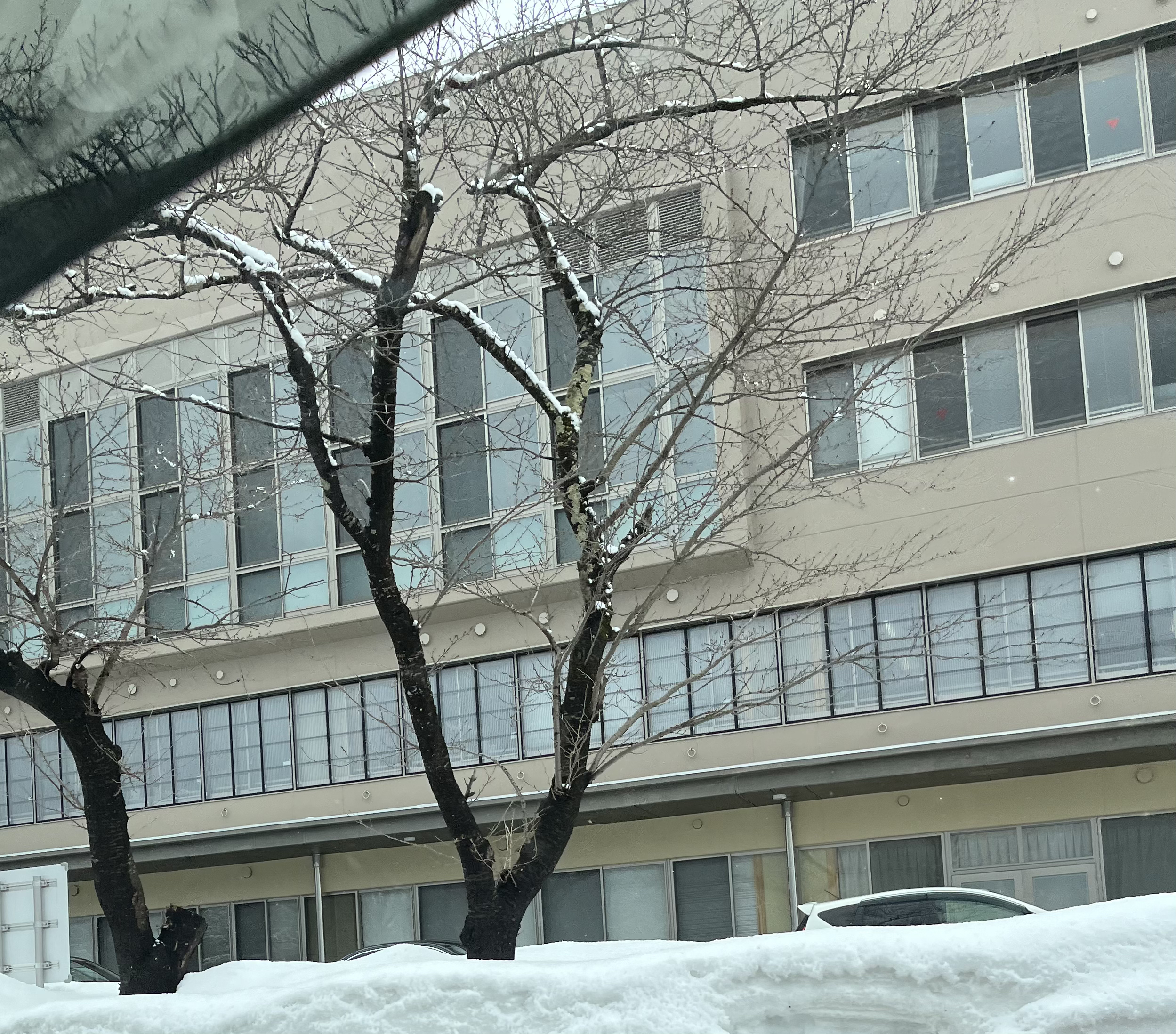 秋田県立横手高等学校