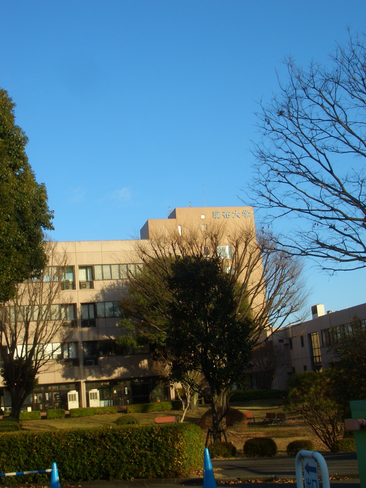 麻布大学