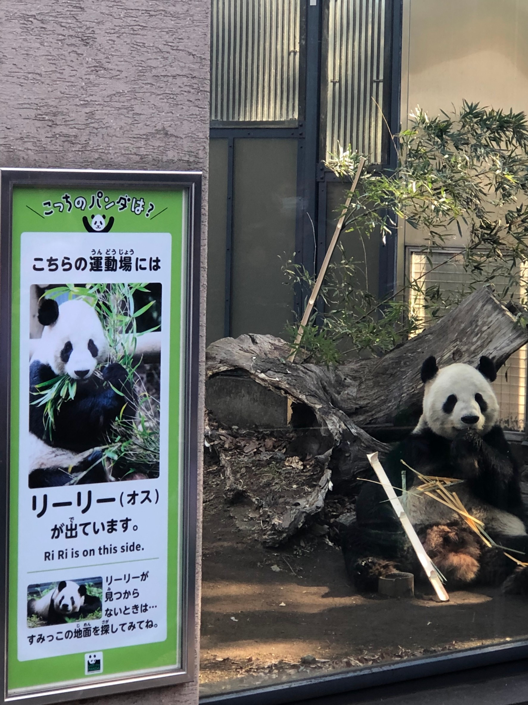 恩賜上野動物園