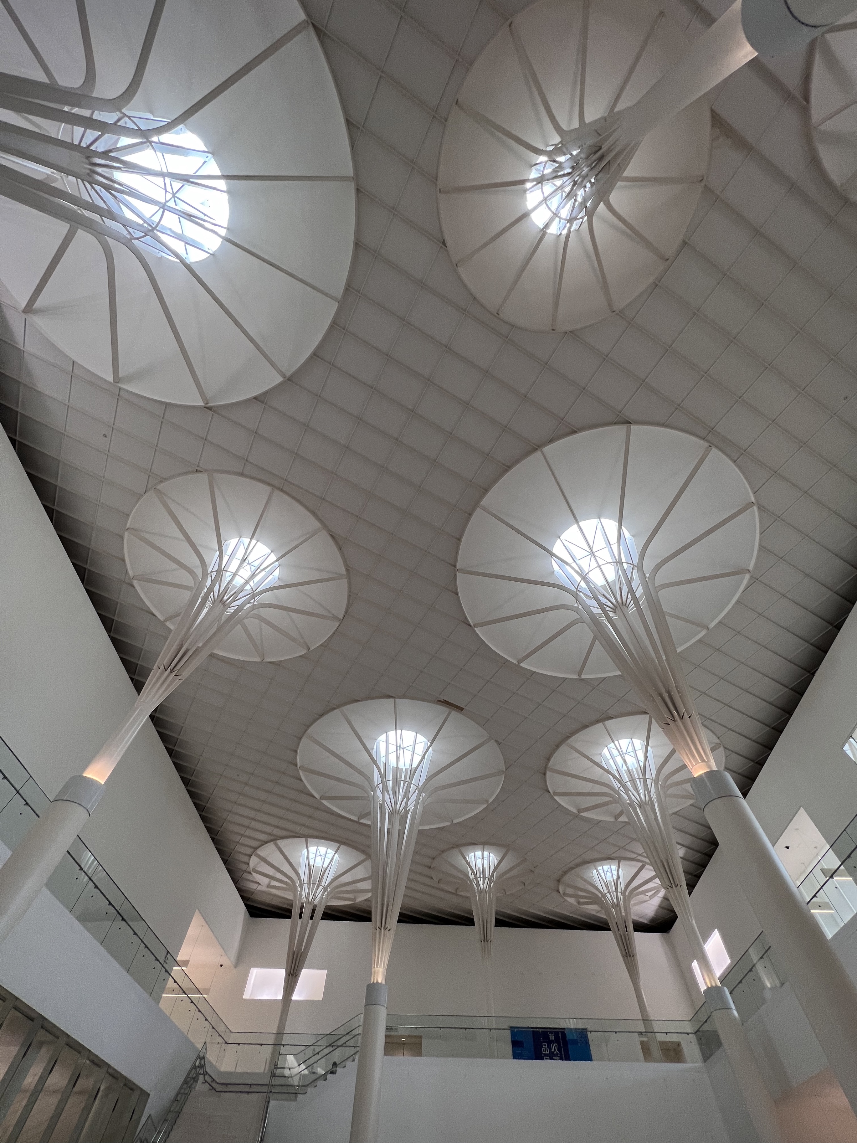 沖縄県立博物館・美術館