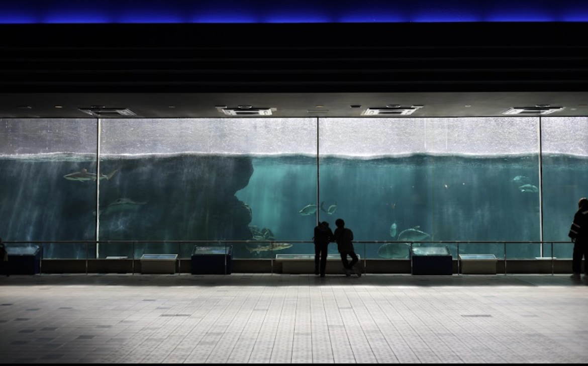 神戸市立須磨海浜水族園