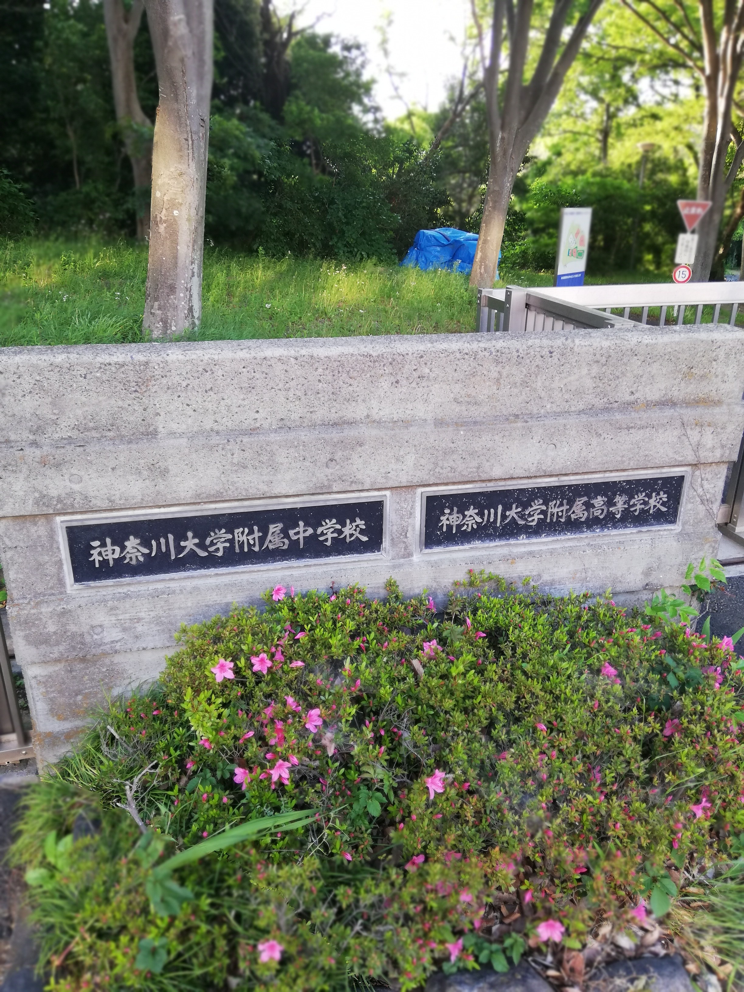 神奈川大学附属中・高等学校