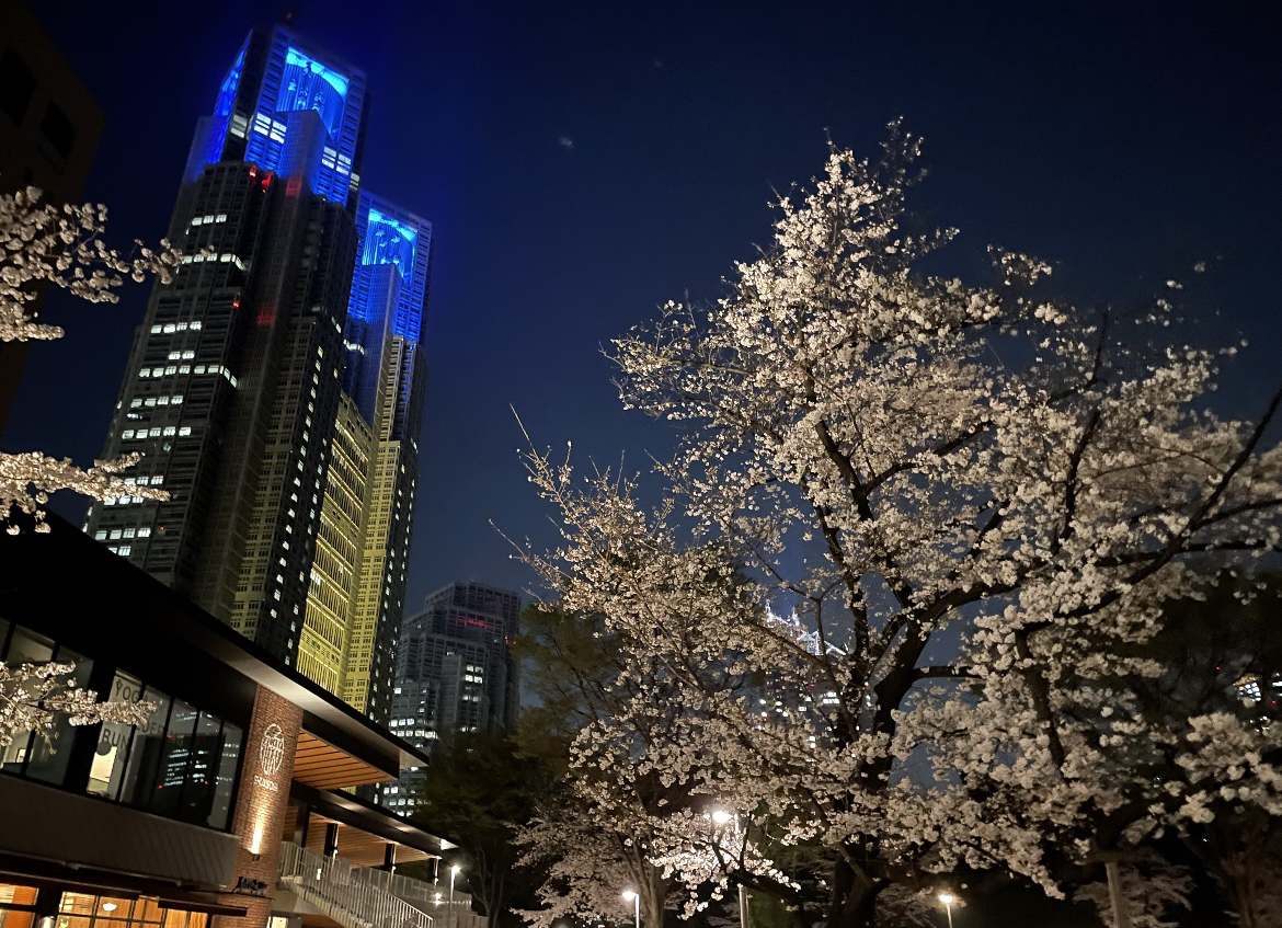 新宿中央公園