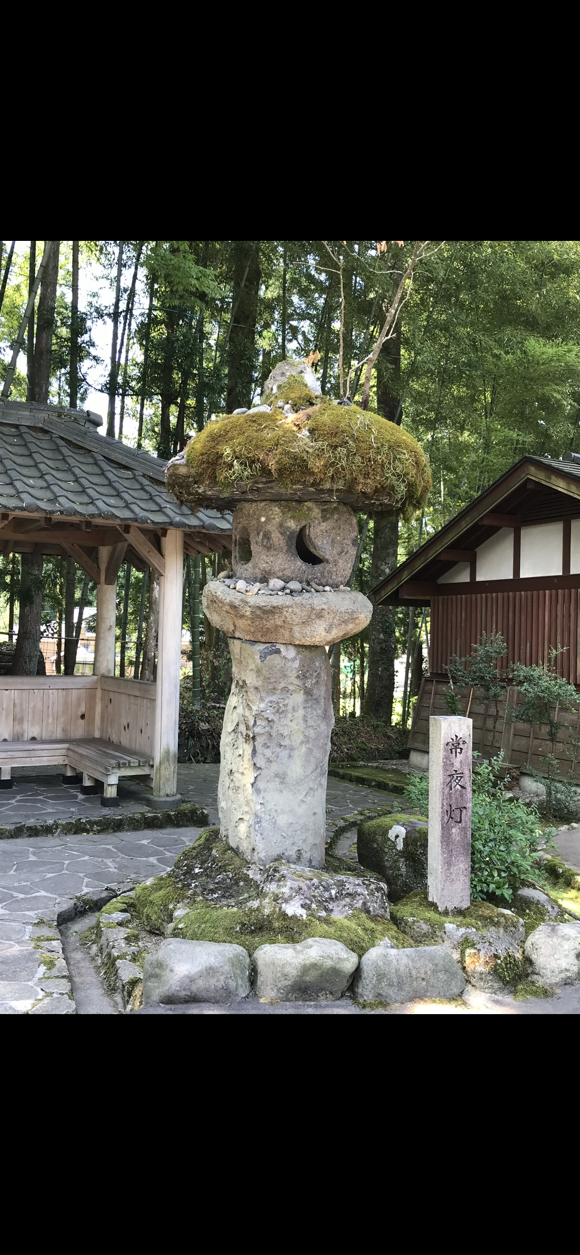 平泉寺白山神社