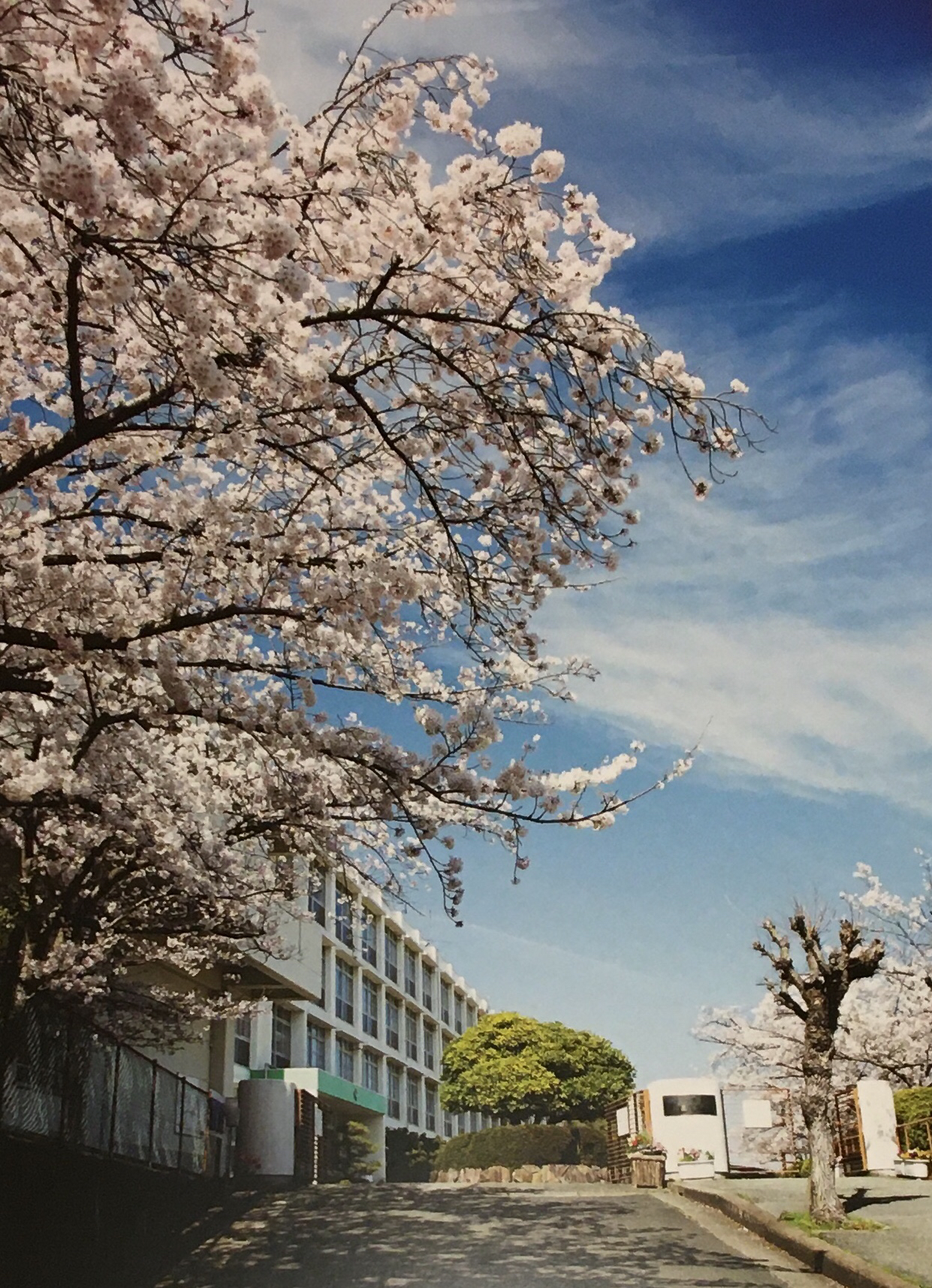 兵庫県立宝塚西高等学校