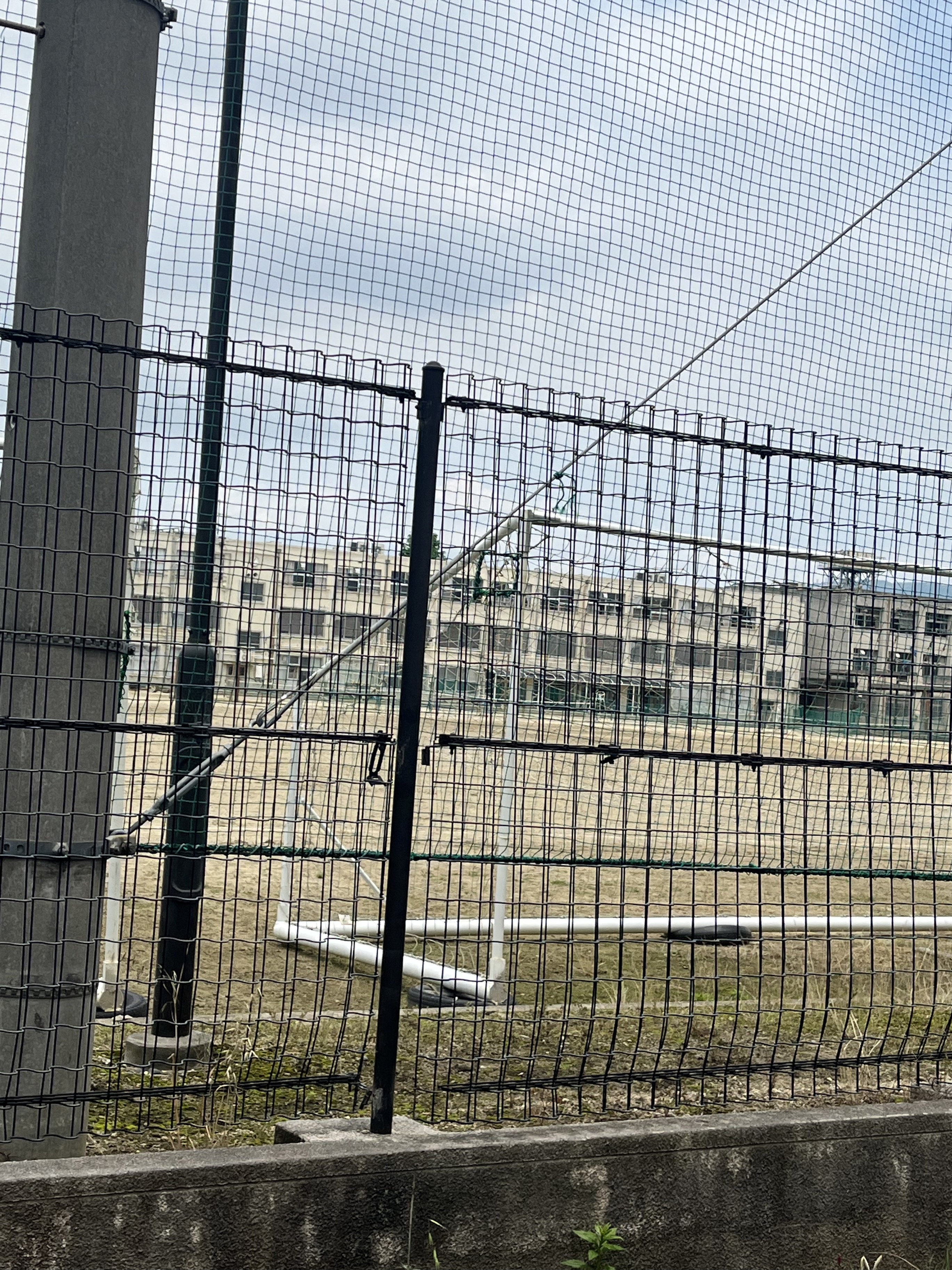 八尾市立八尾中学校