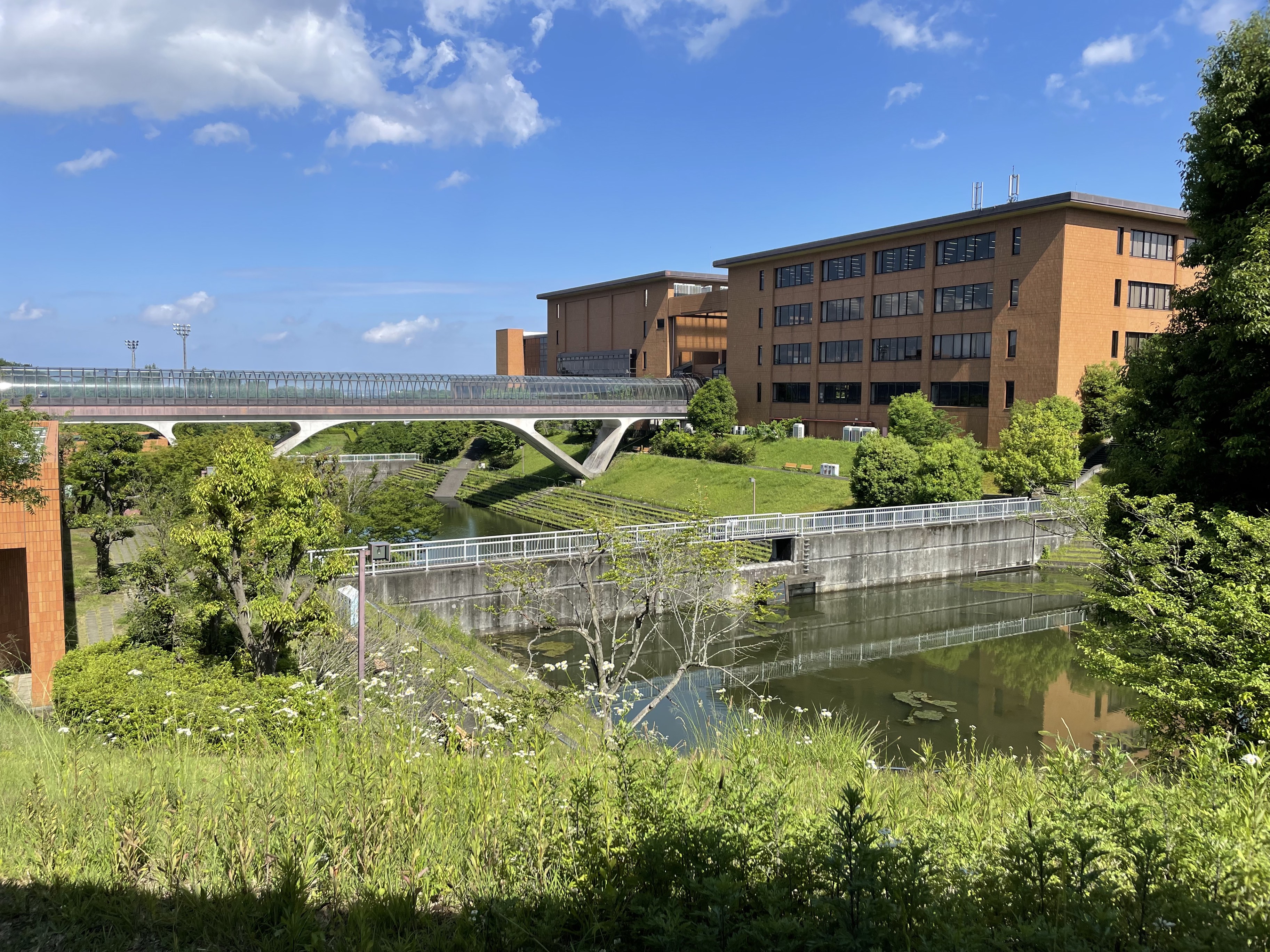 大東文化大学