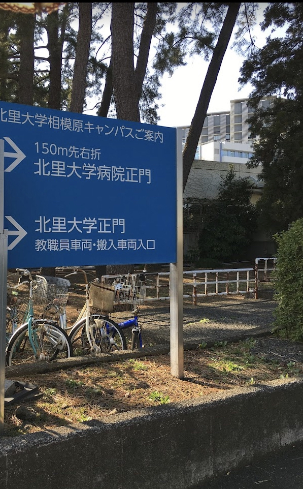 北里大学