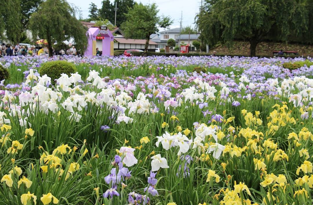 浅舞公園