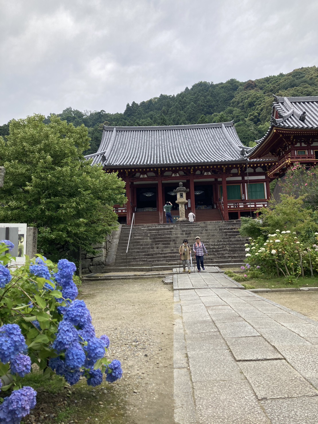 矢田寺