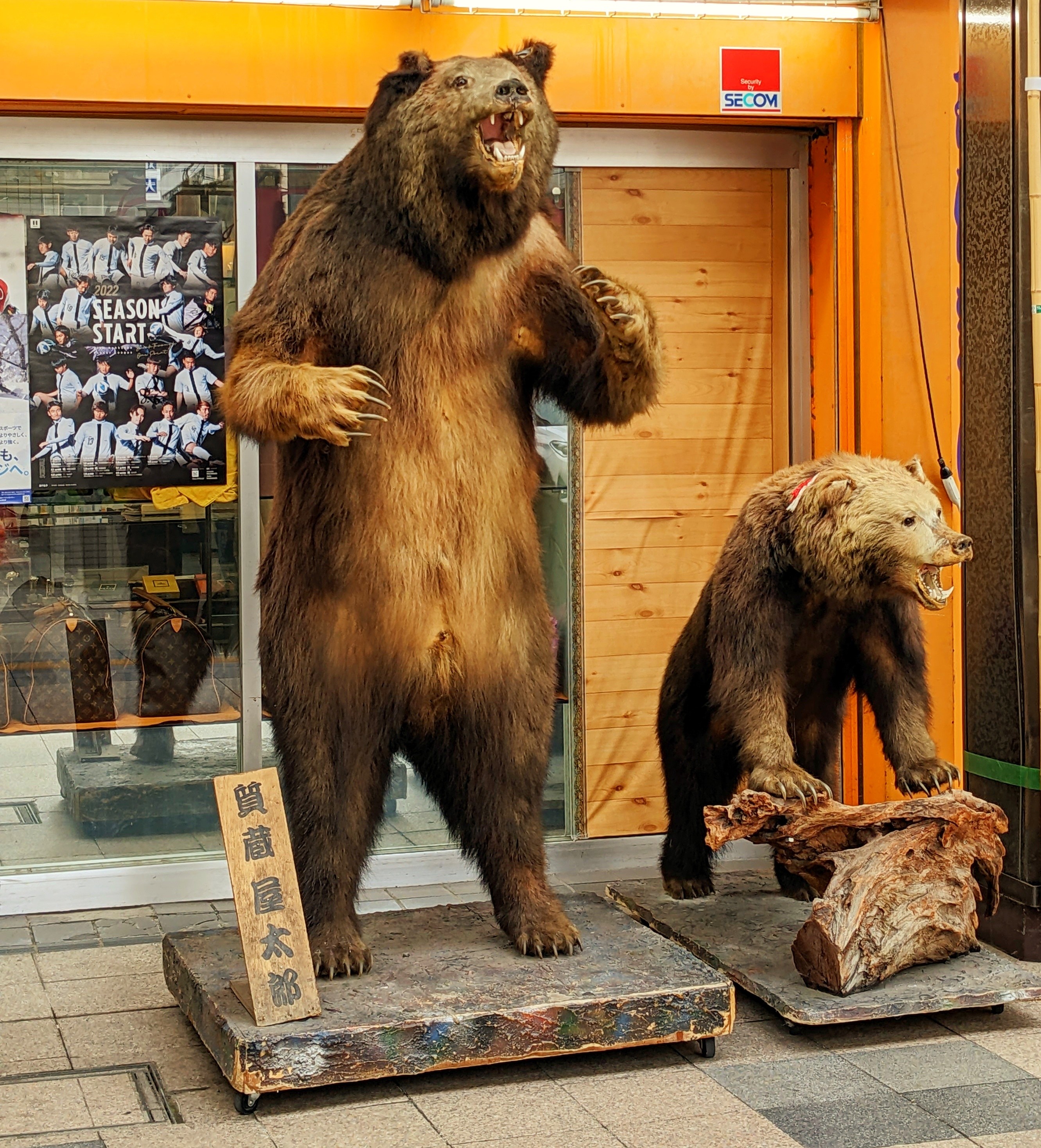 狸小路商店街