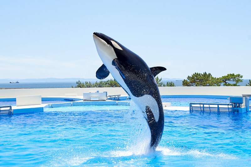 神戸須磨シーワールド