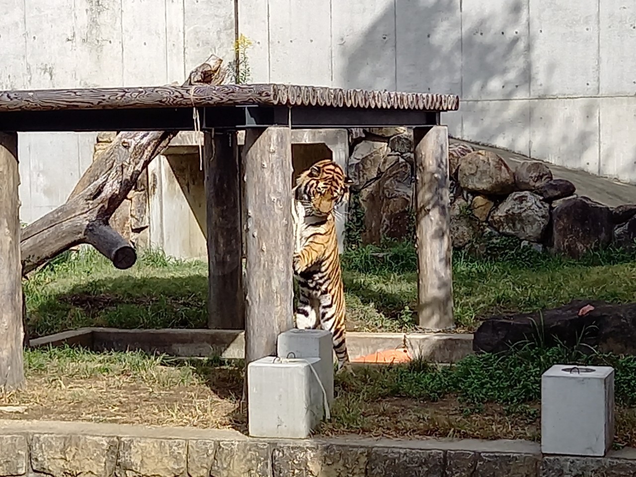 天王寺動物園