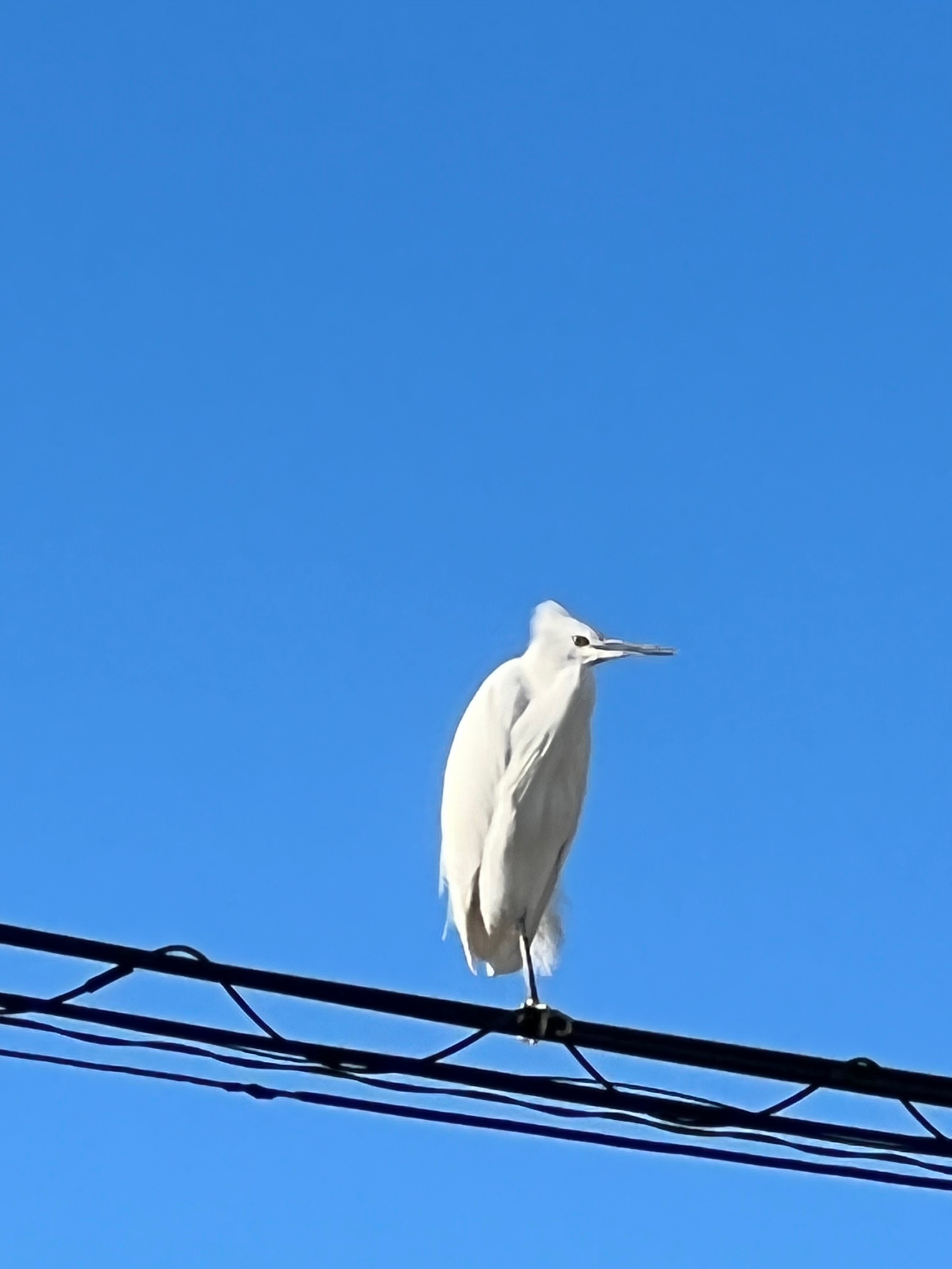 蓮華寺池公園