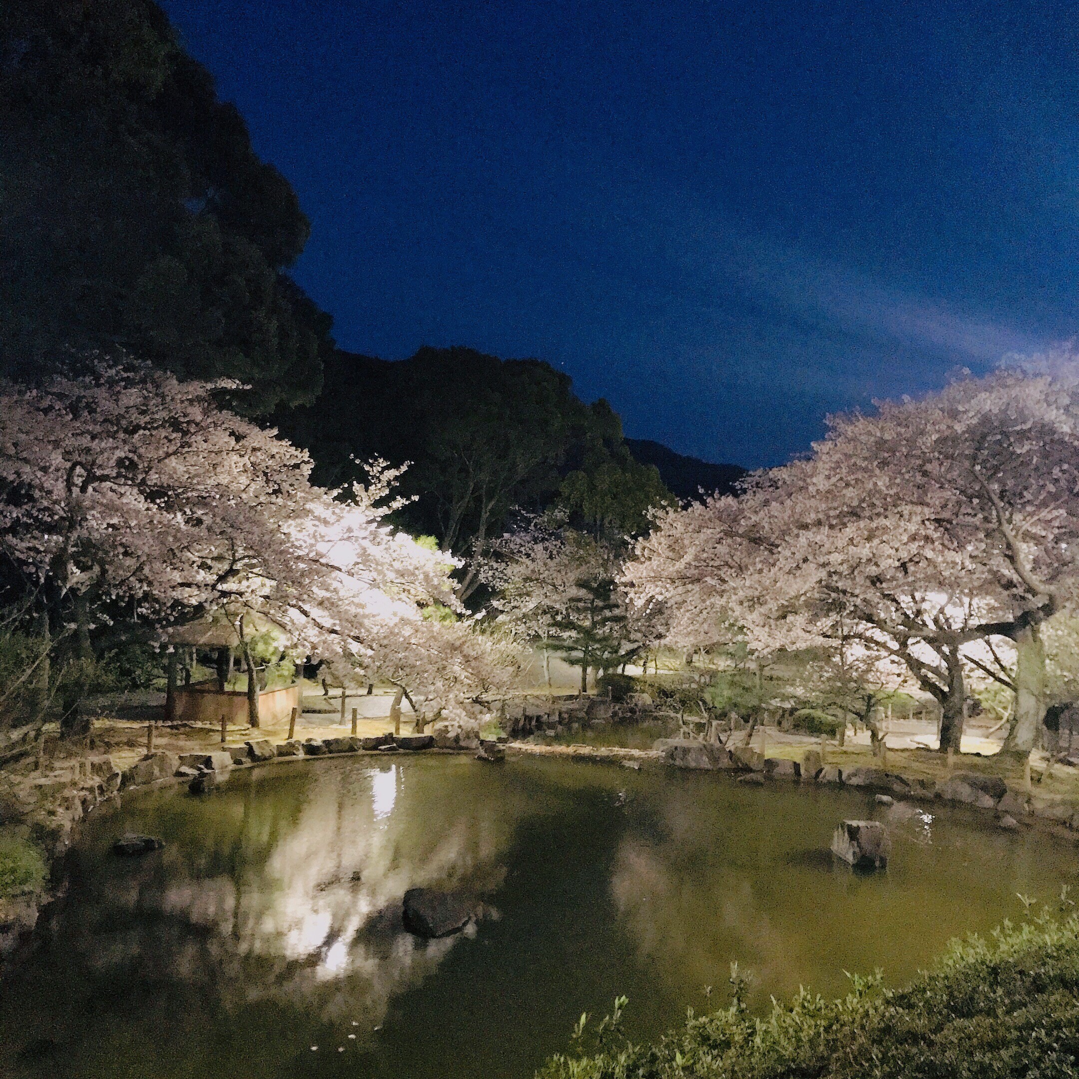 蒲郡市中央公園