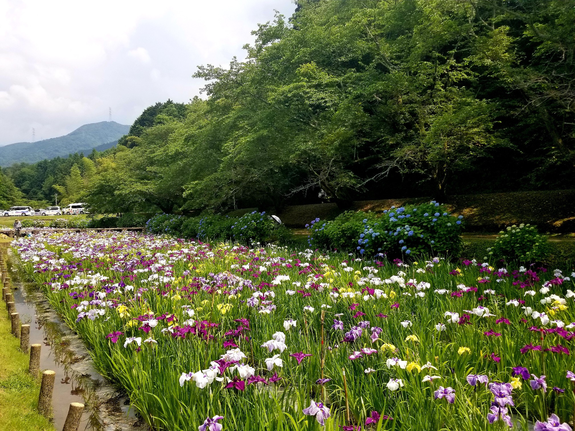 池田池公園