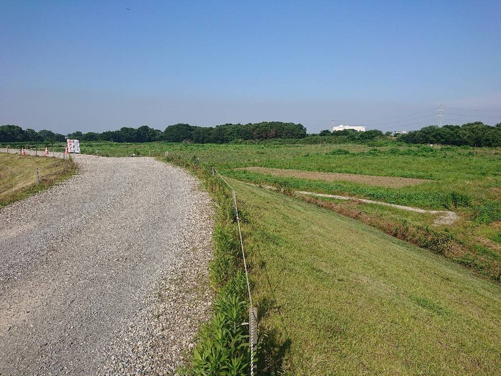 都幾川