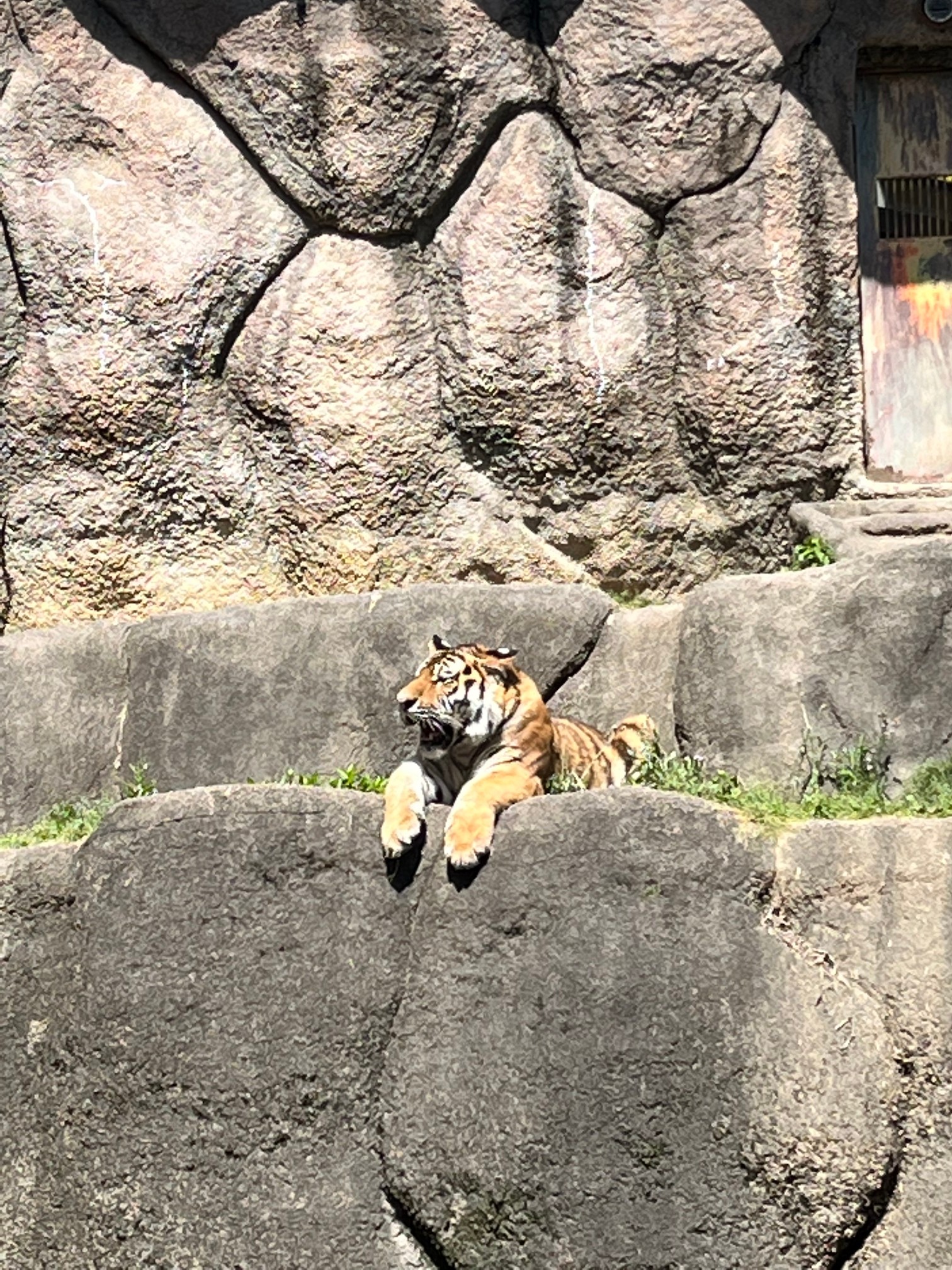 浜松市動物園