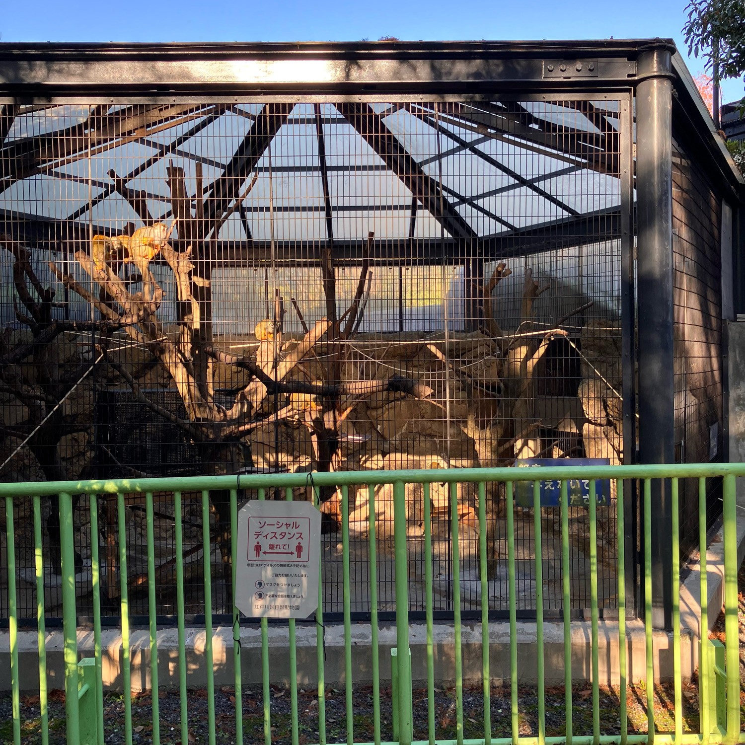 江戸川区自然動物園