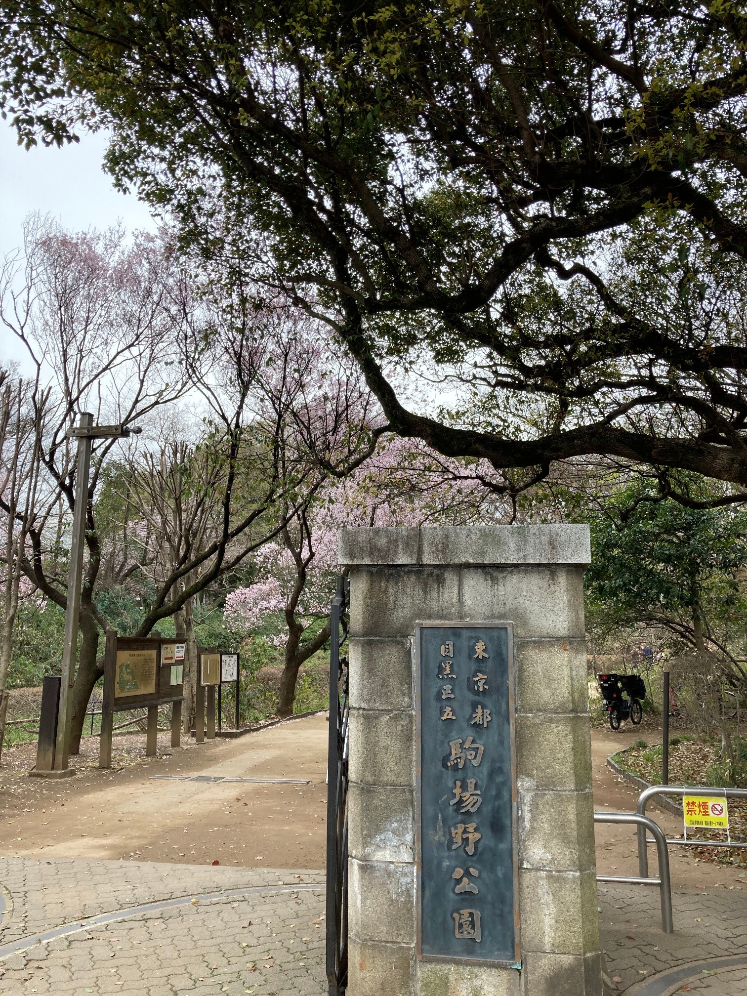 駒場野公園