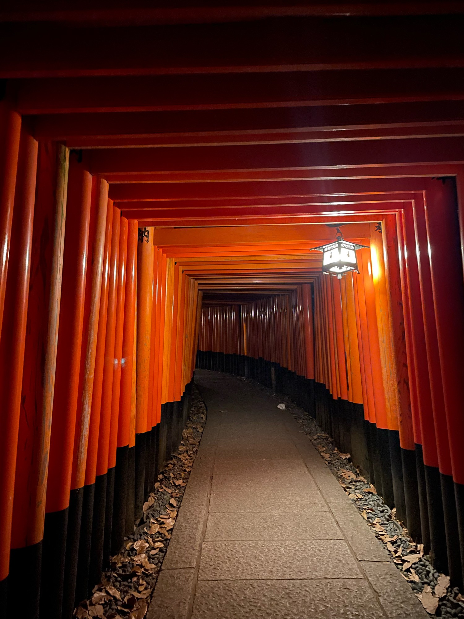 賀茂御祖神社