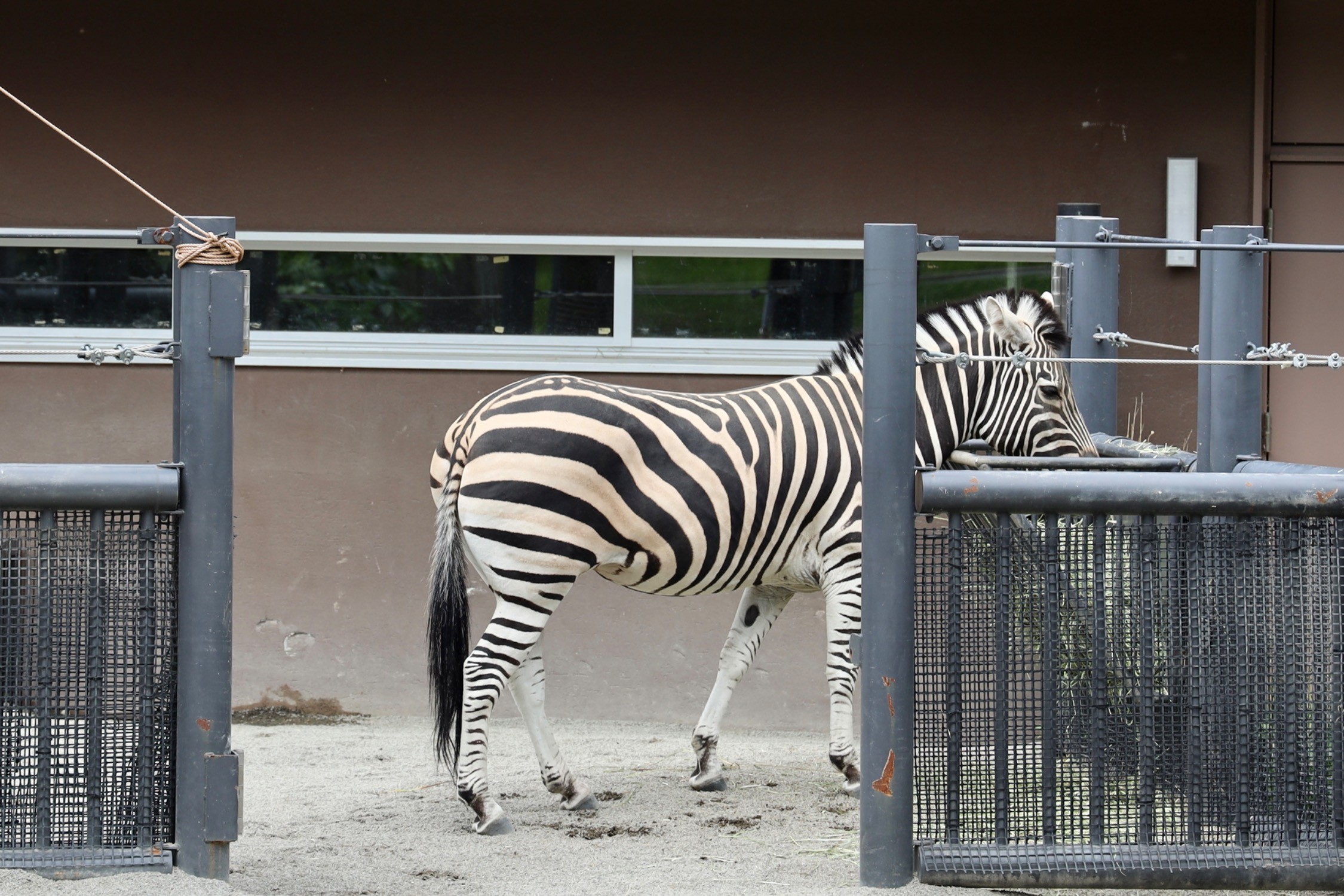 札幌市円山動物園